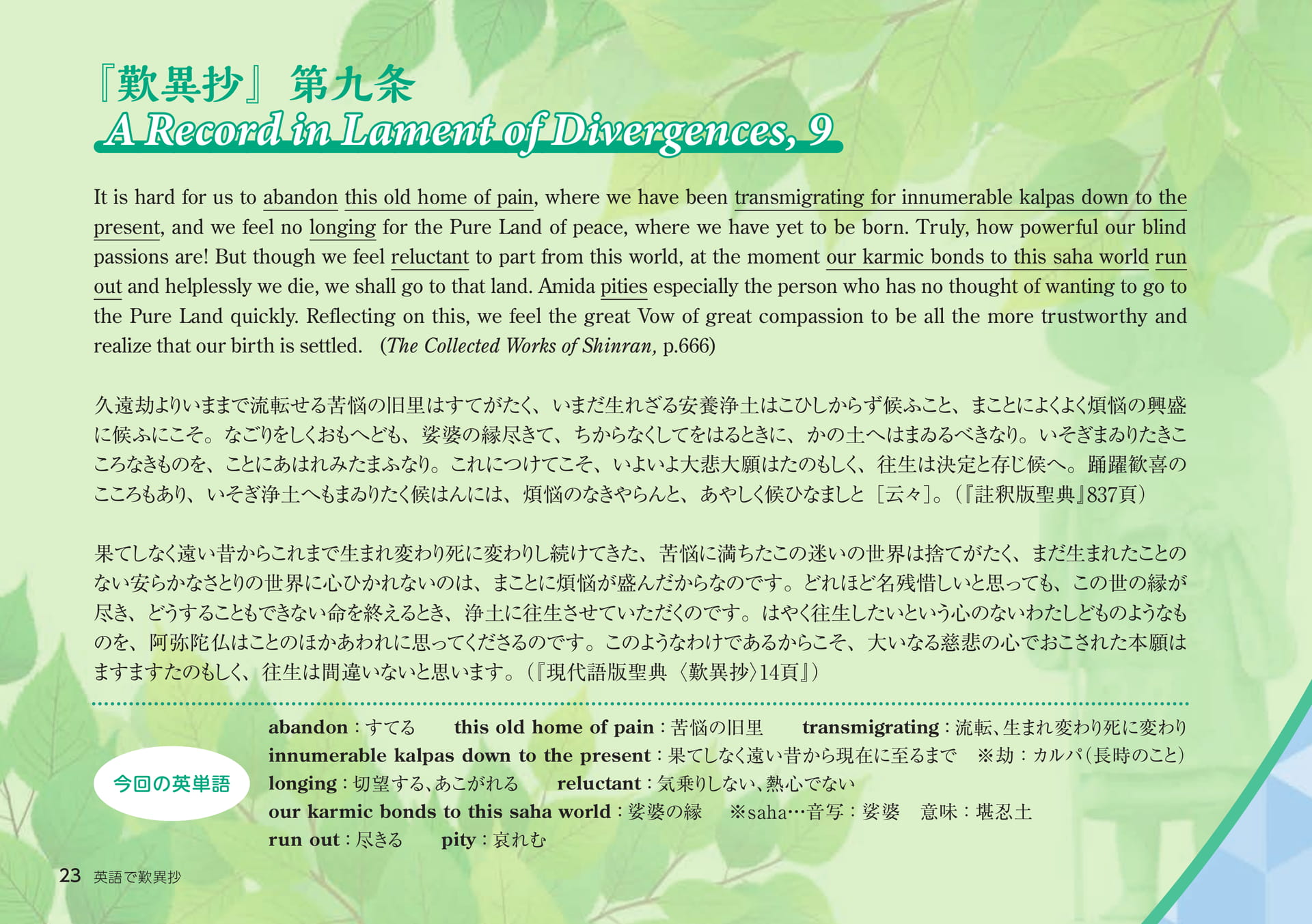 Page 23