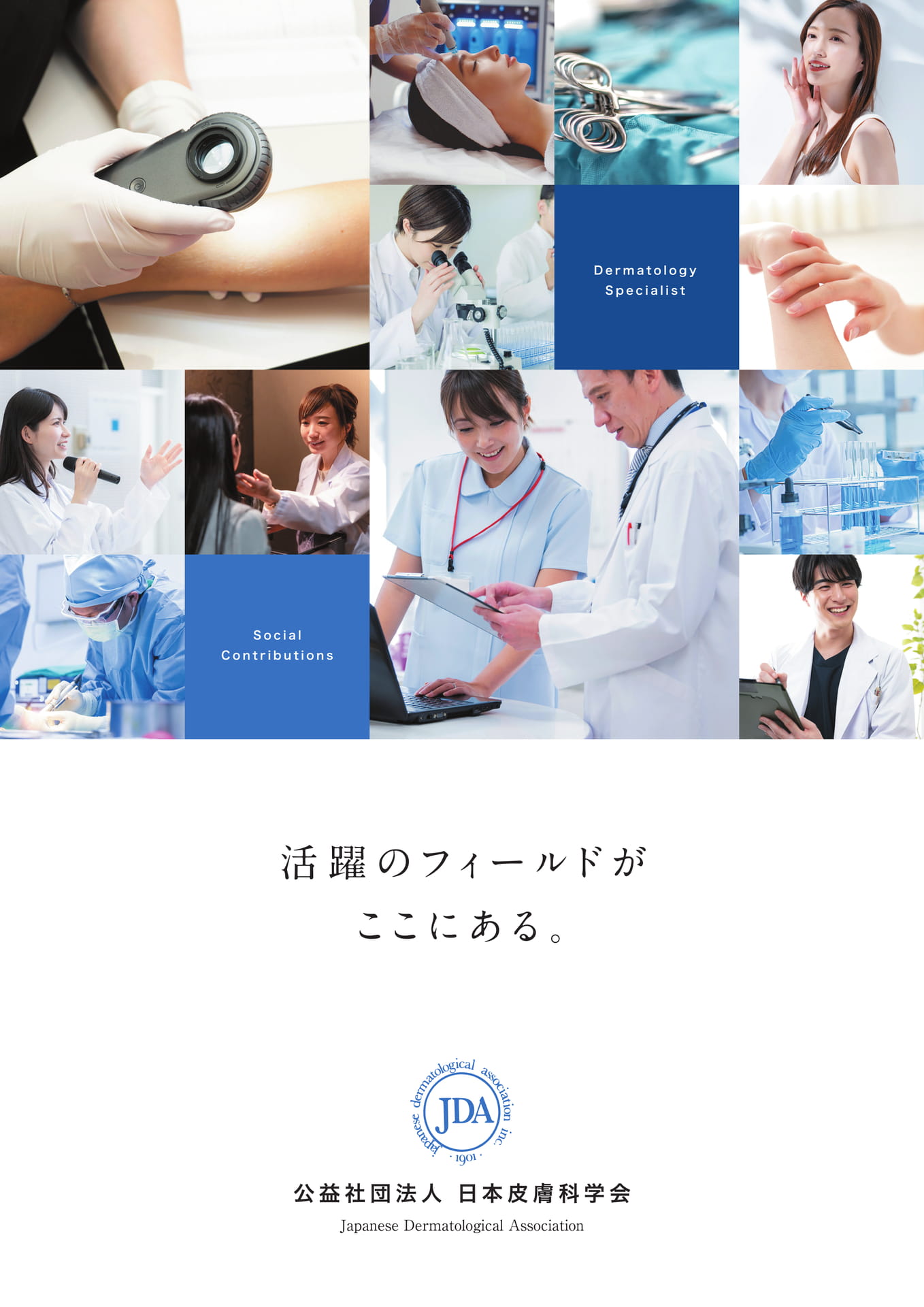 P1 表紙