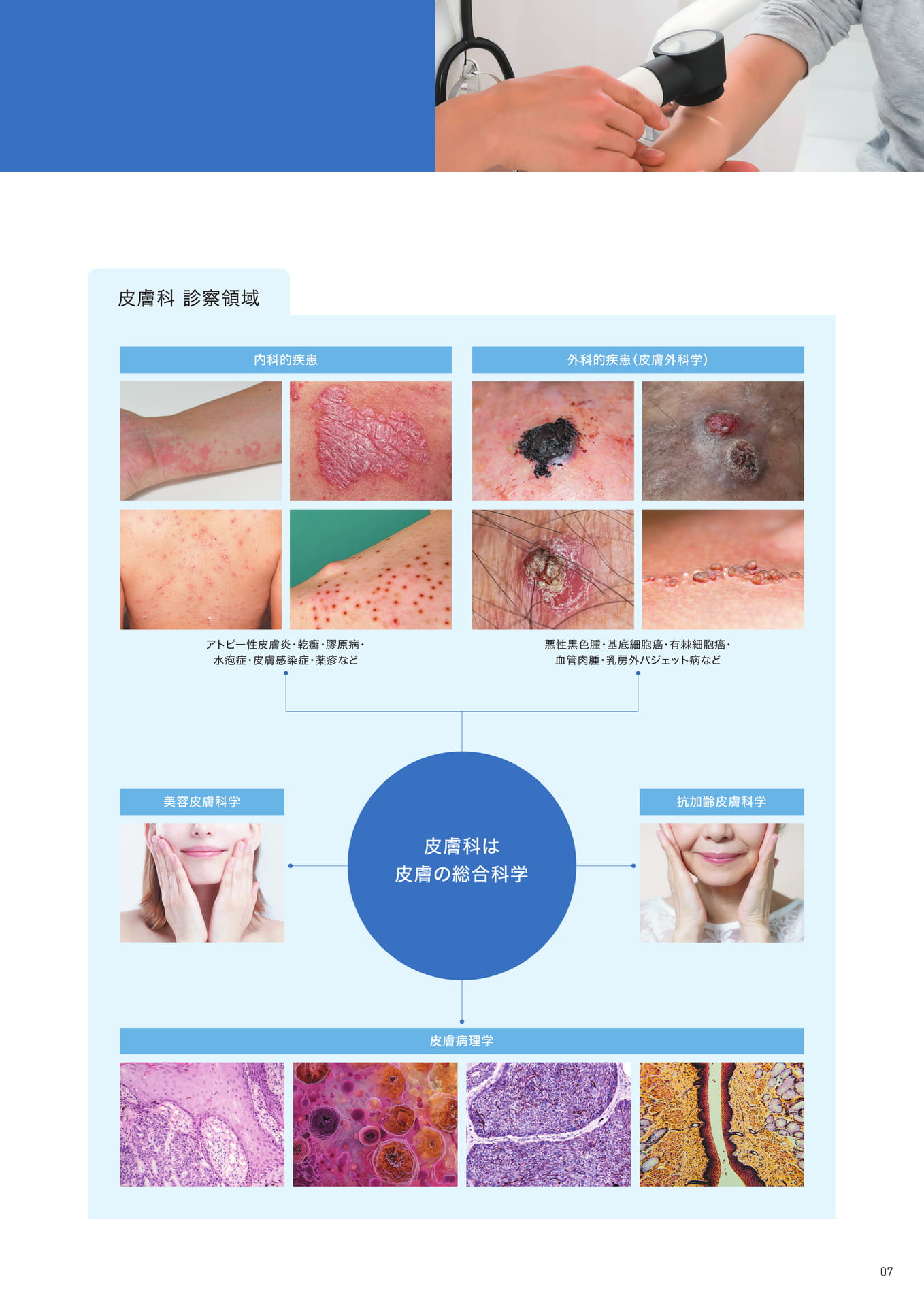 P7　皮膚科の診療領域(2)