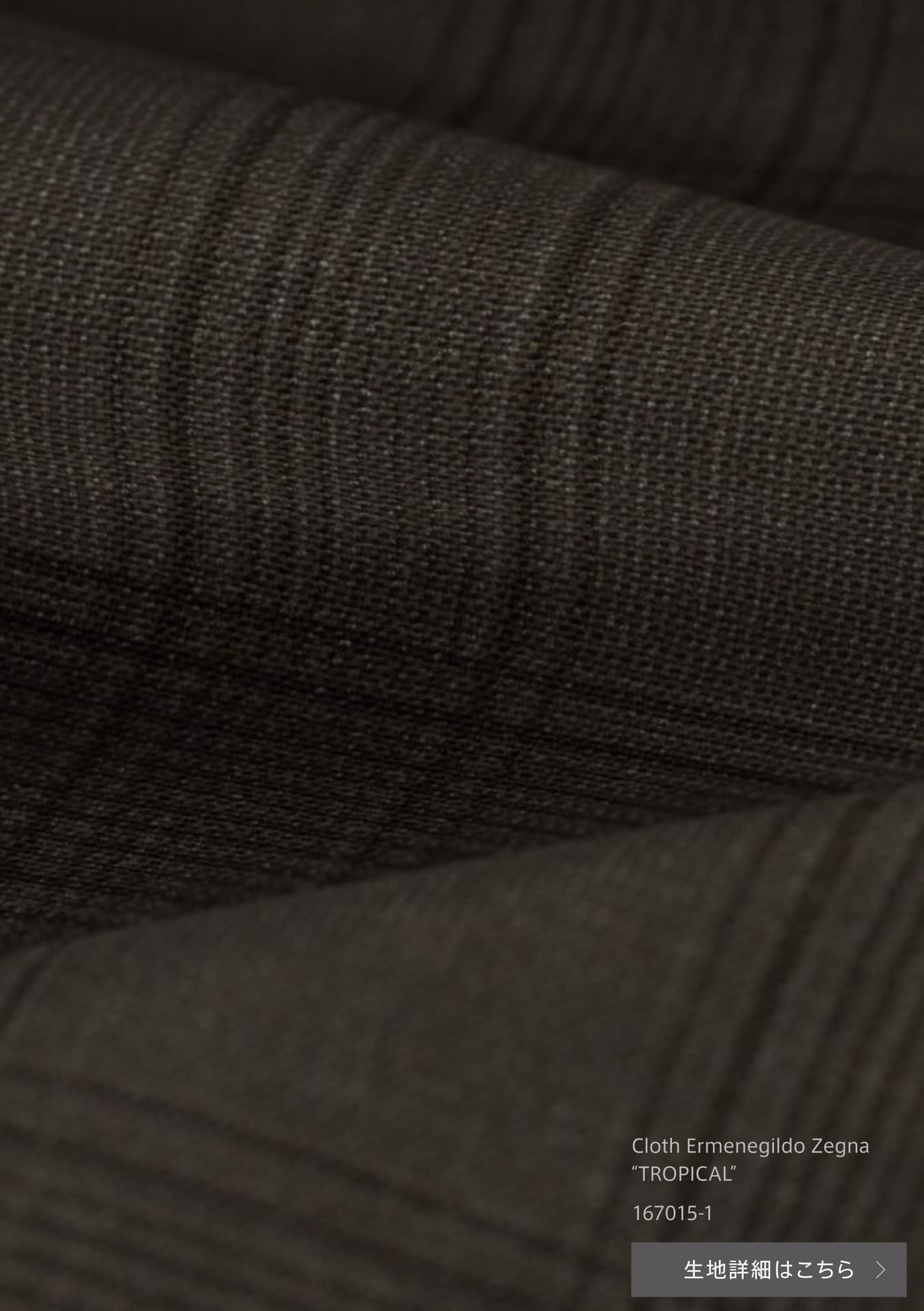 Cloth Ermenegildo Zegna “TROPICAL”