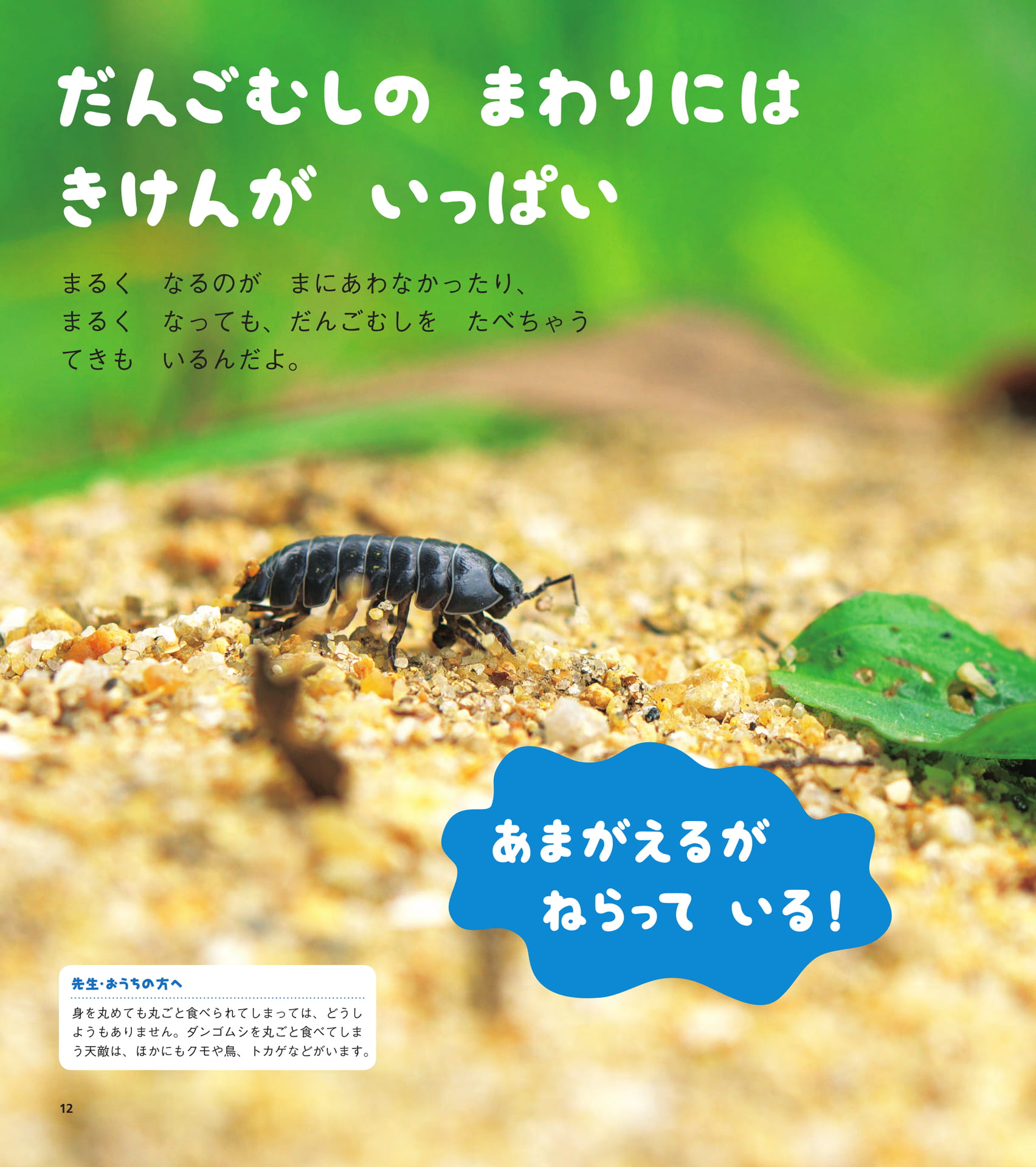 Page 12