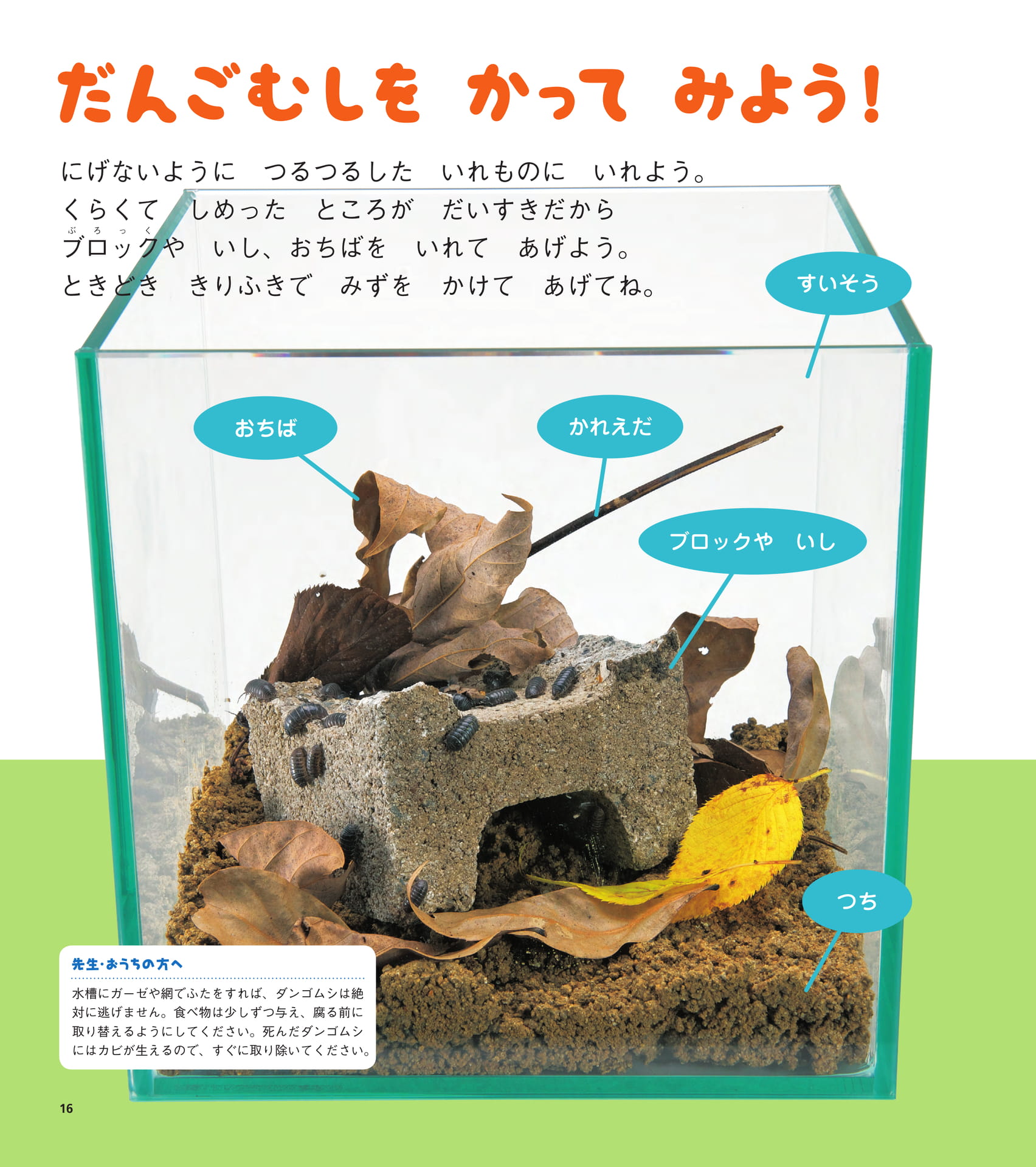 Page 16