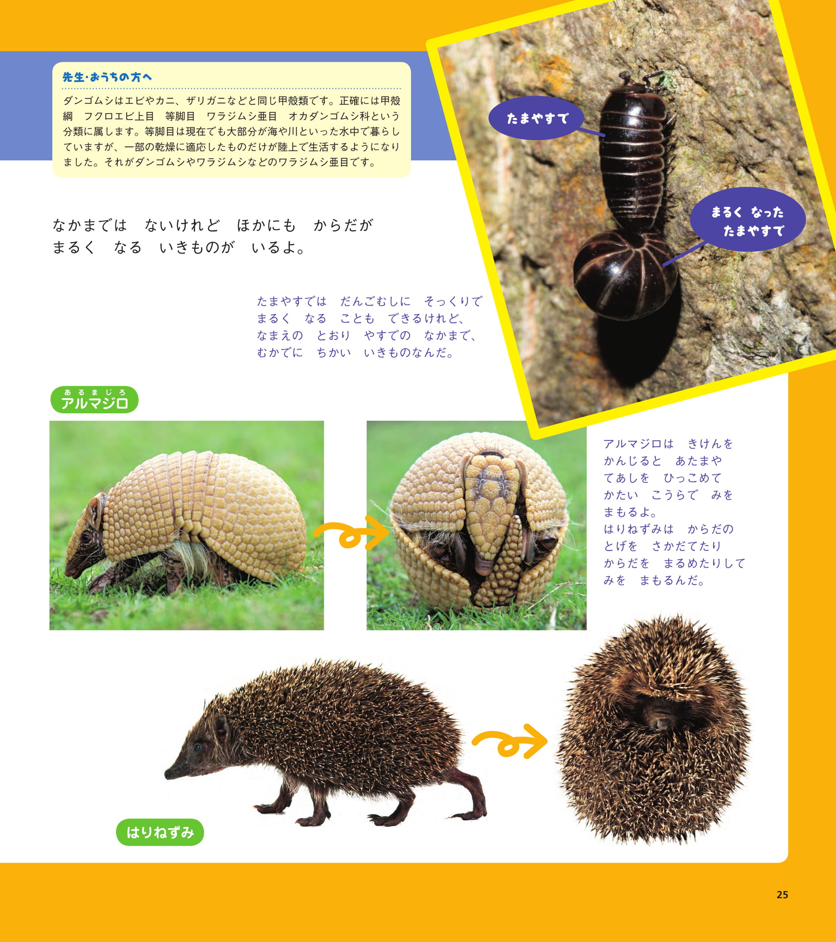 Page 25