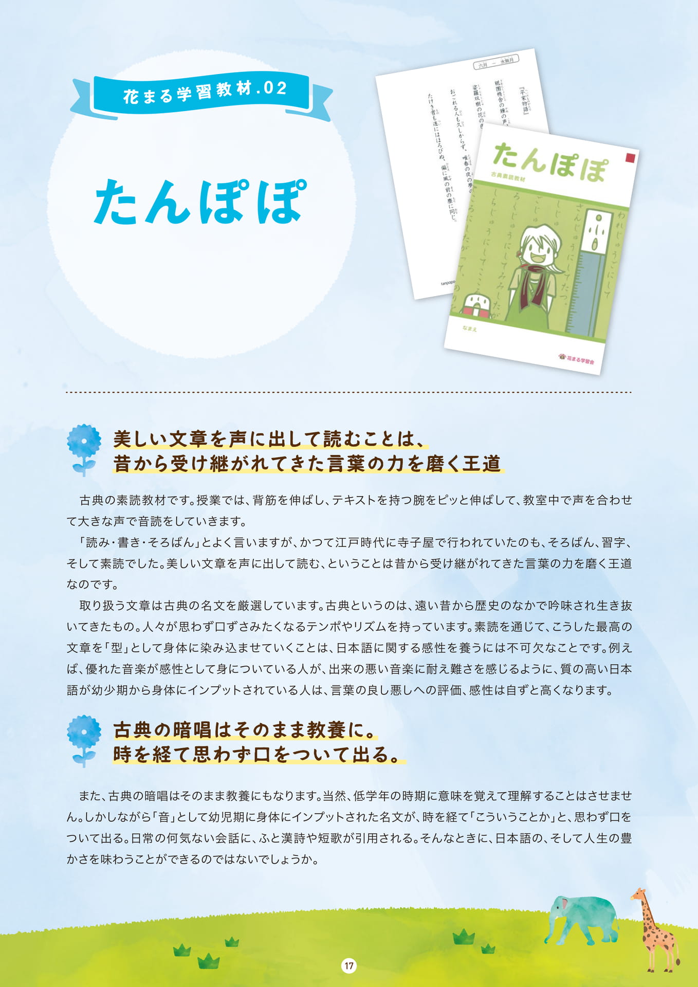 Page 17