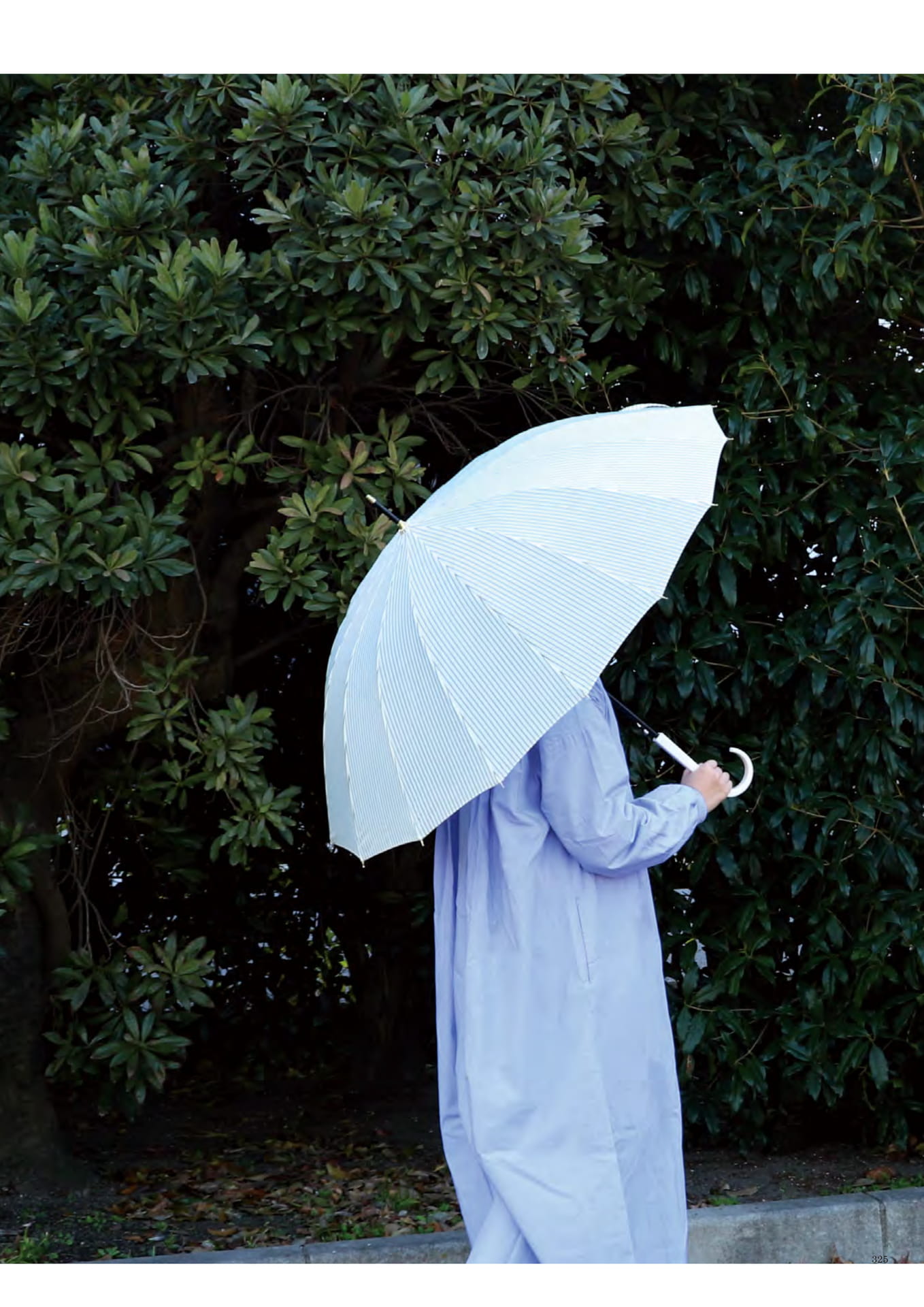 325 | UMBRELLA