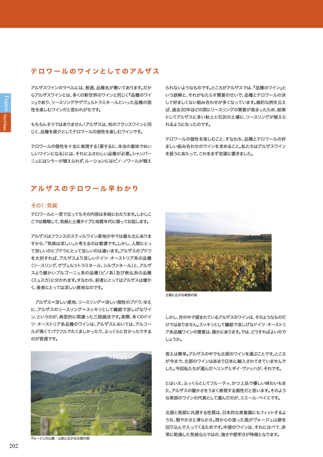 Page 204