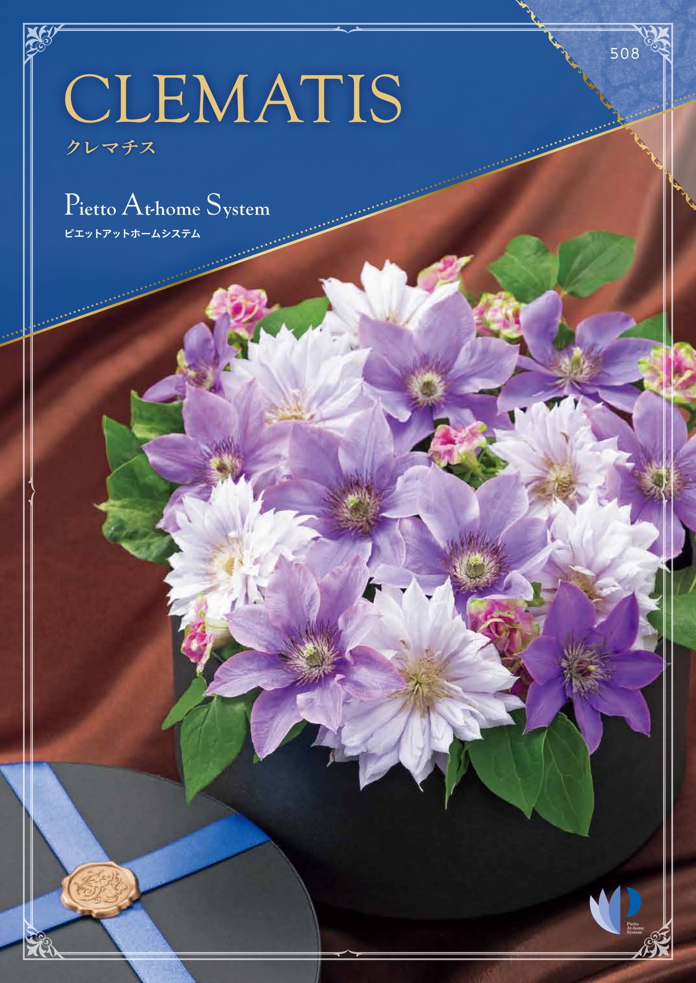 セール クレマチス 5点セット！ 2025秋 SALE！ 母の日 2025 ギフト
