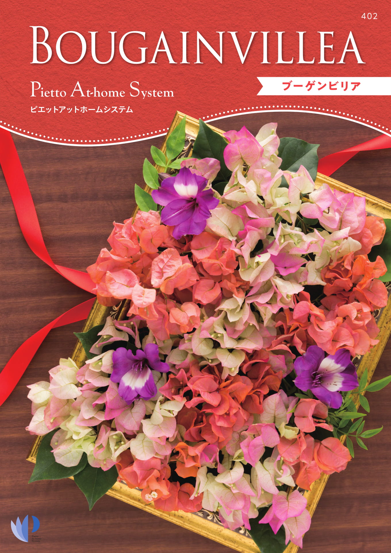 2024年ブーゲンビリア | ebook5