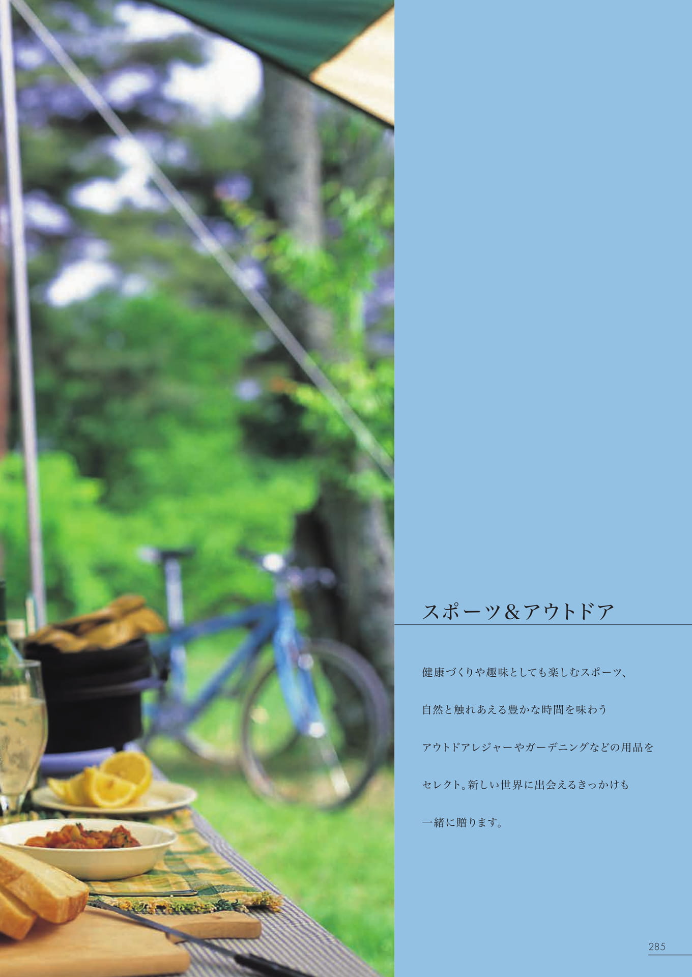 Page 279