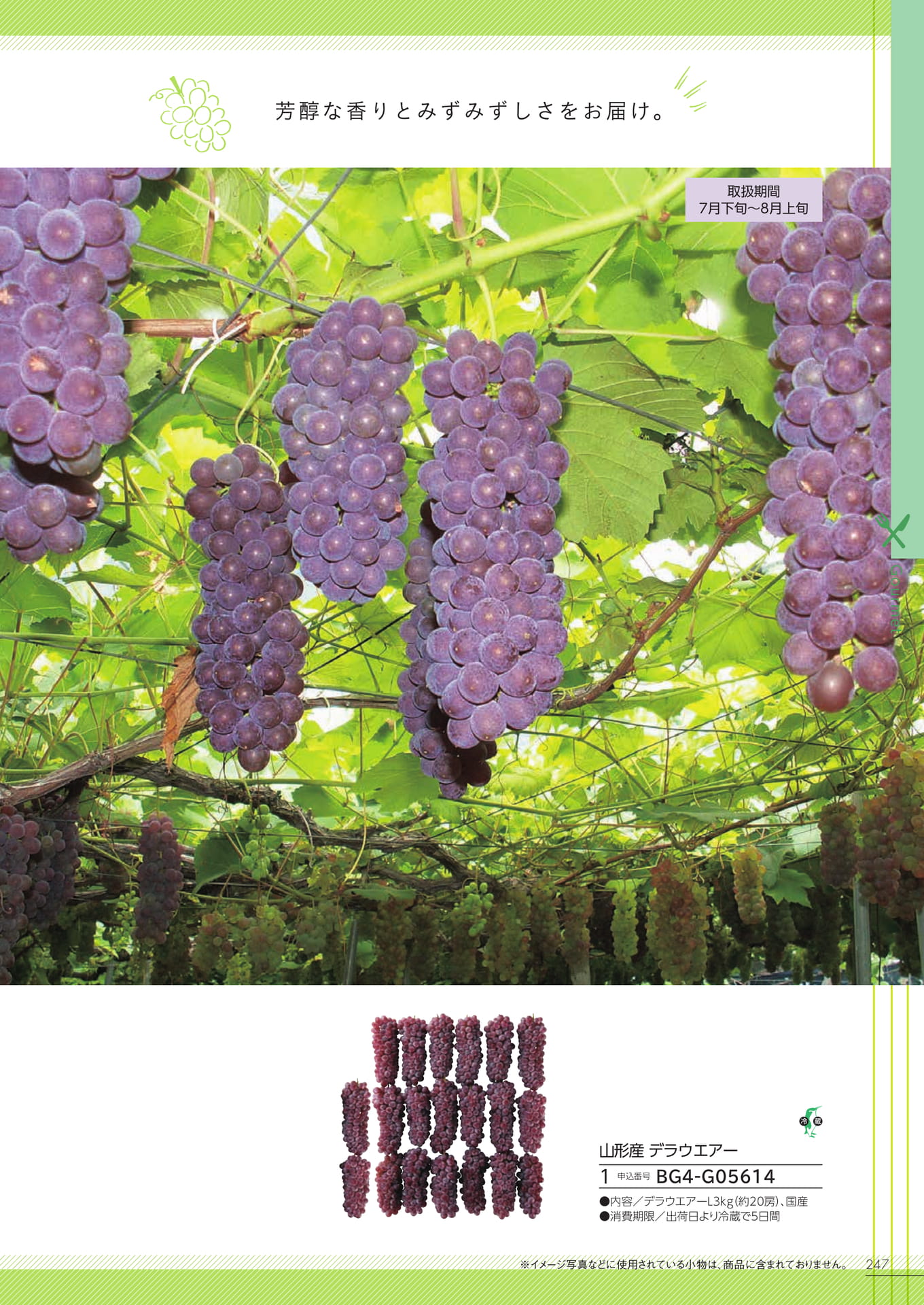 Page 241