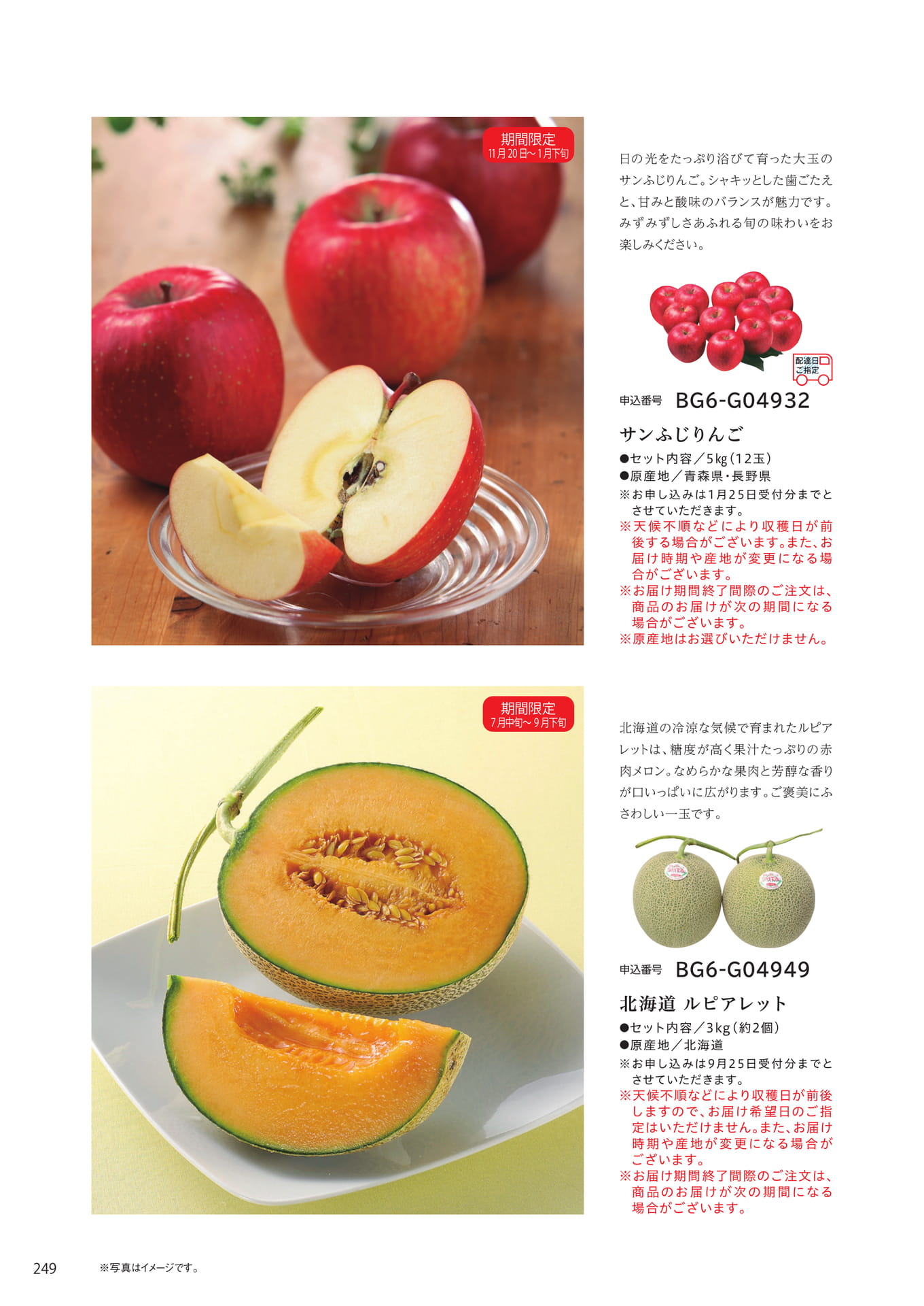 Page 242