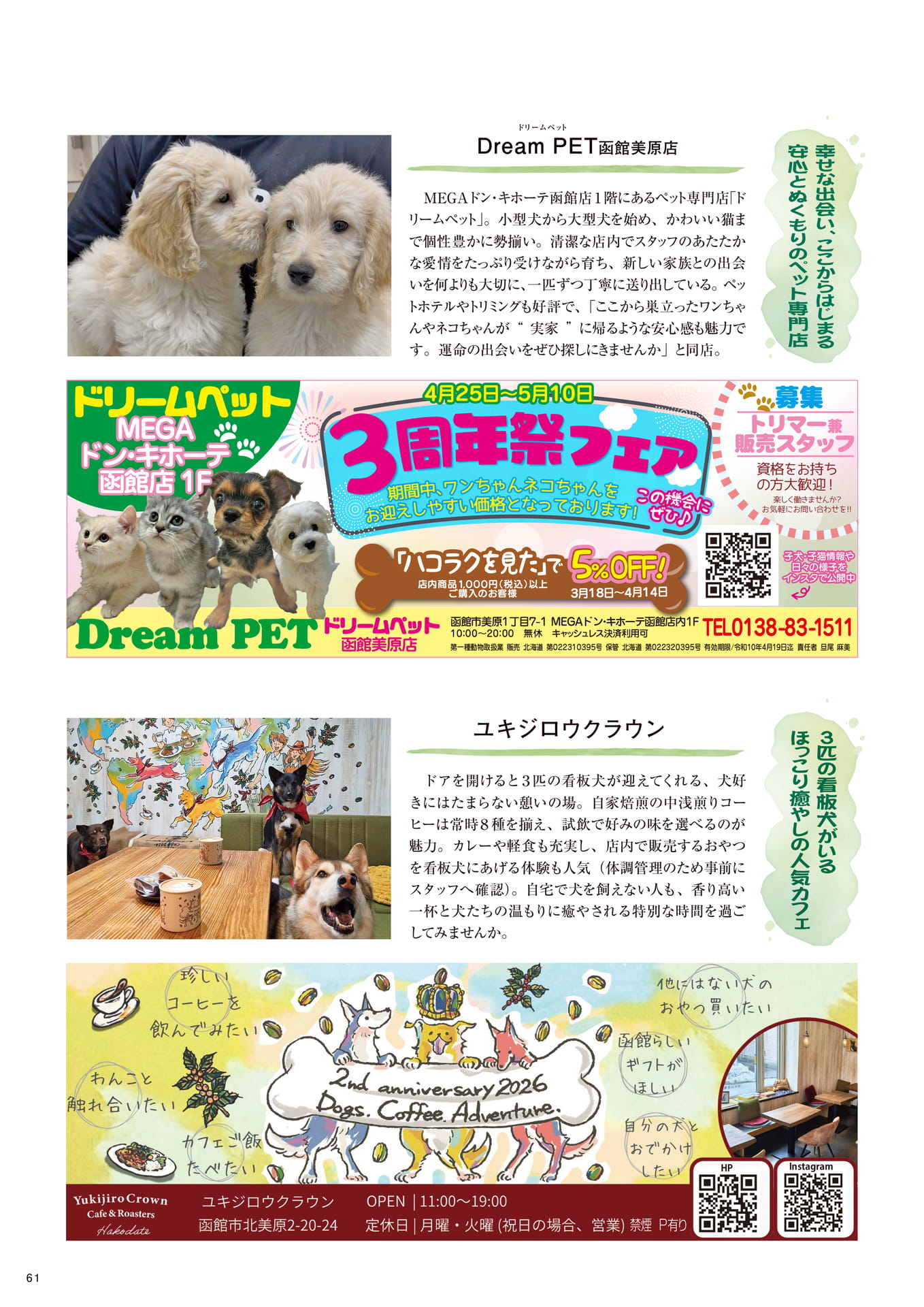 Page 61