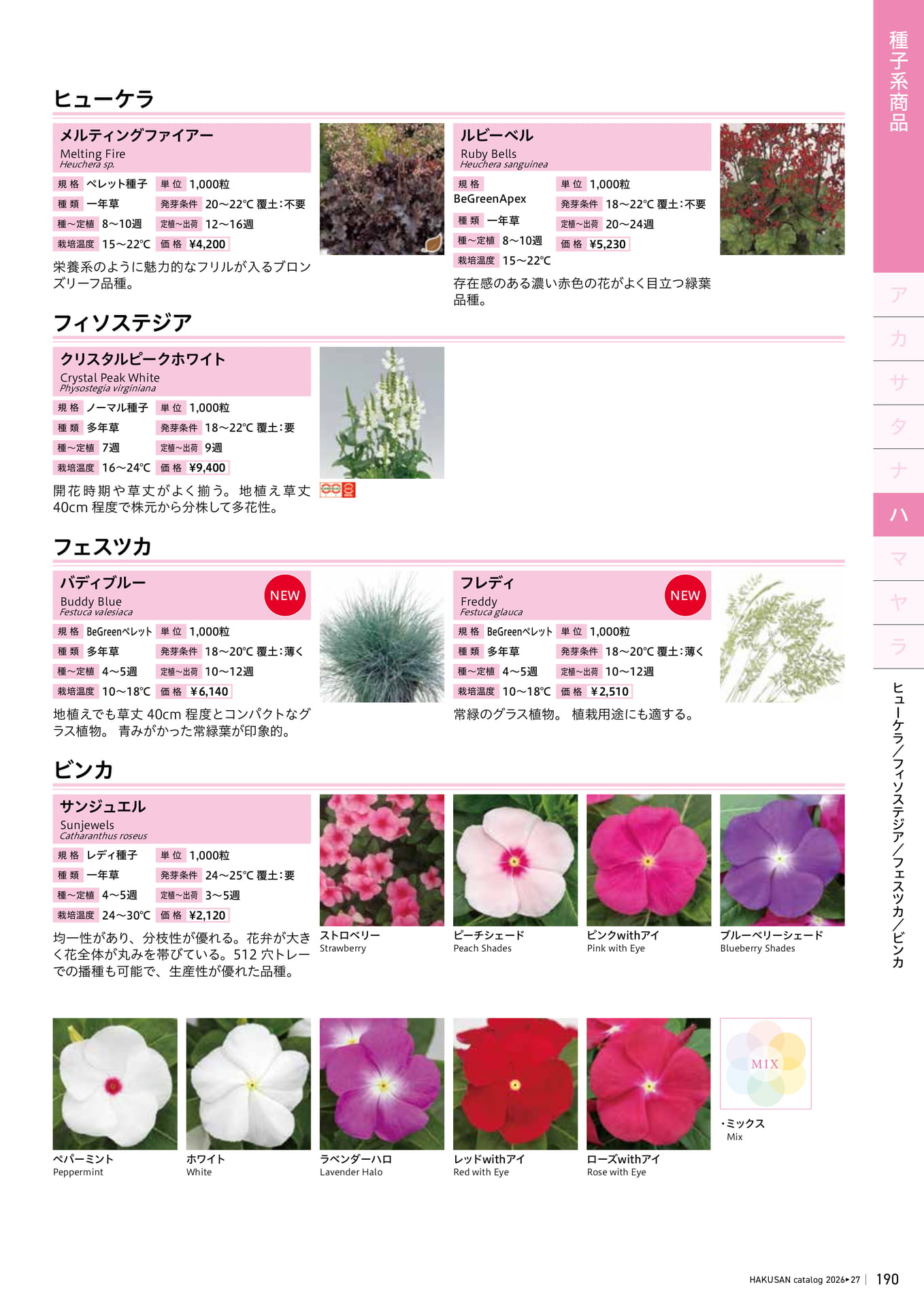 Page 191