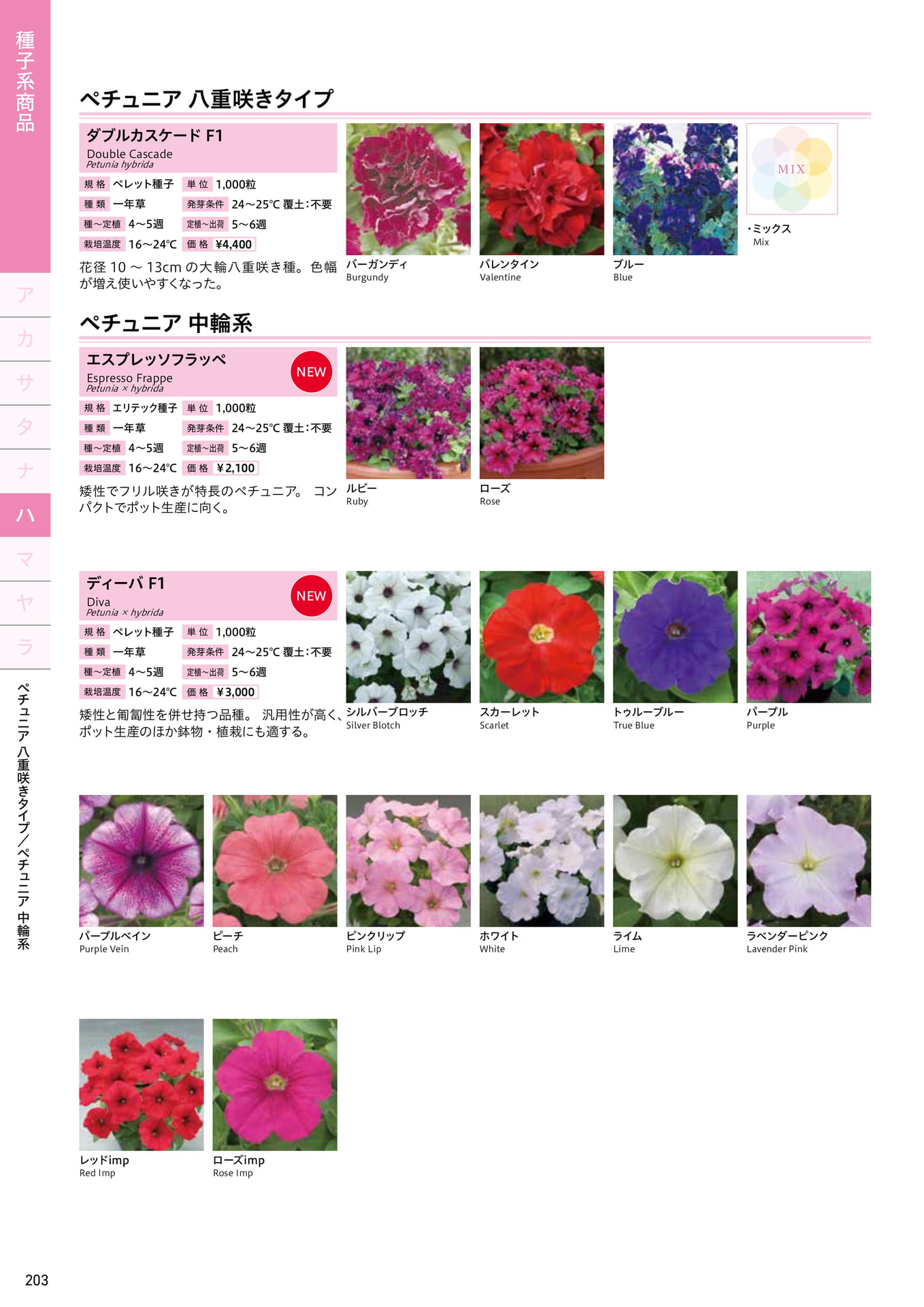 Page 204