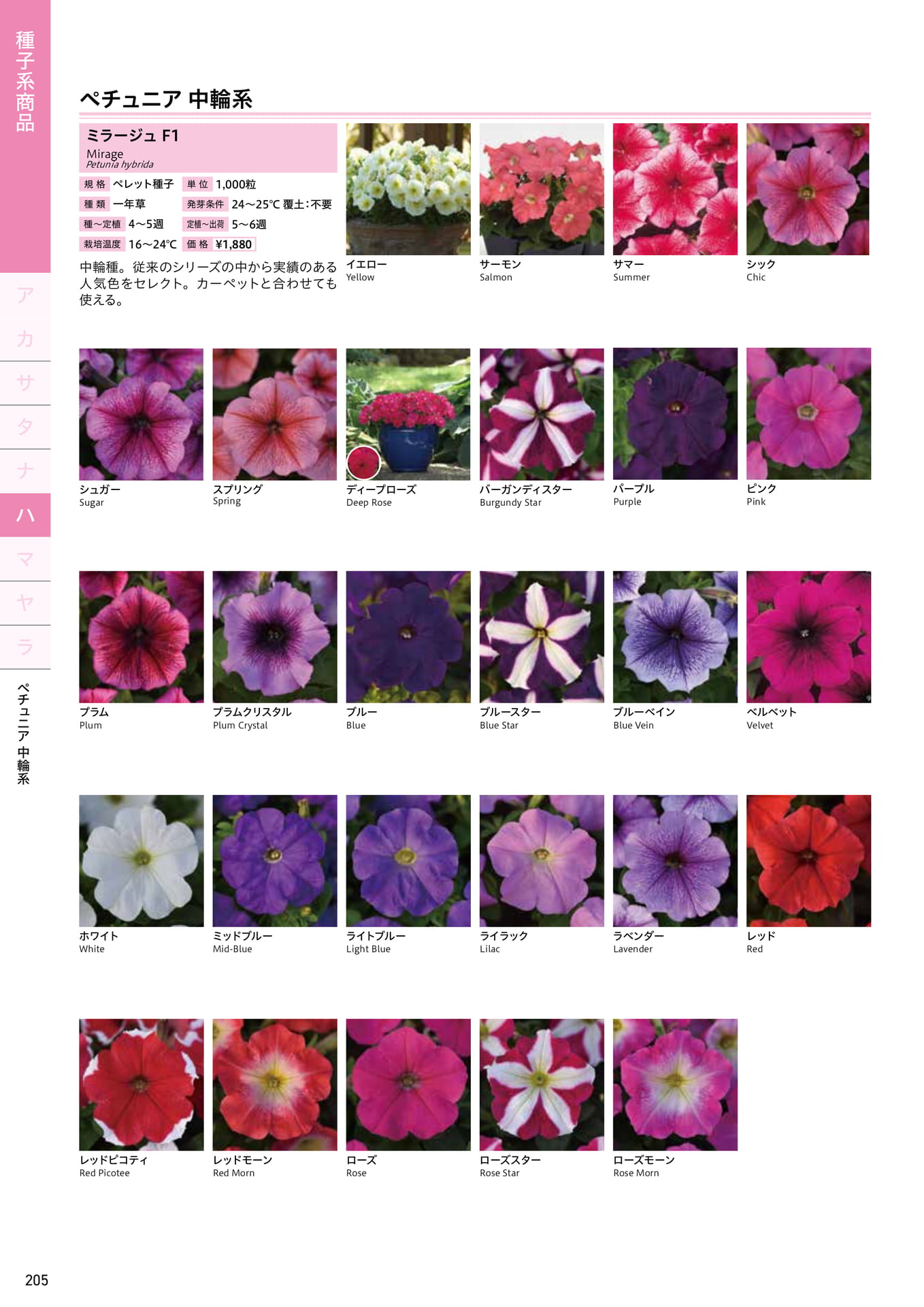 Page 206