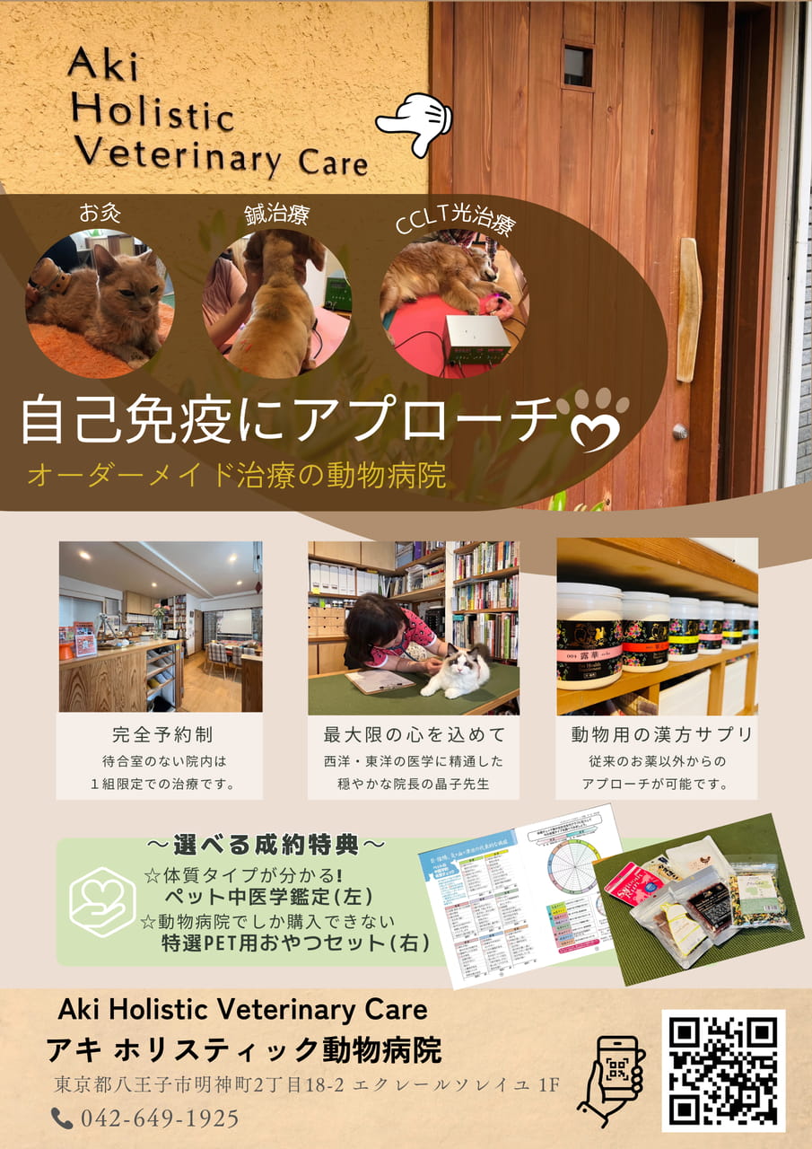 Page (追加)1