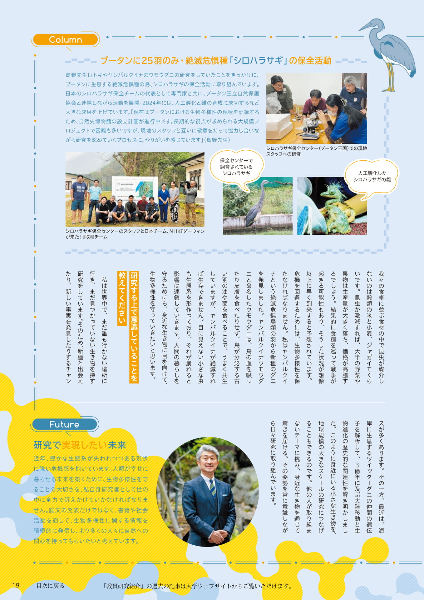 Page 19