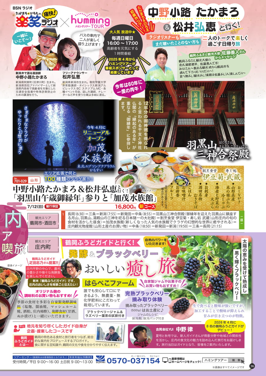 Page (追加)1