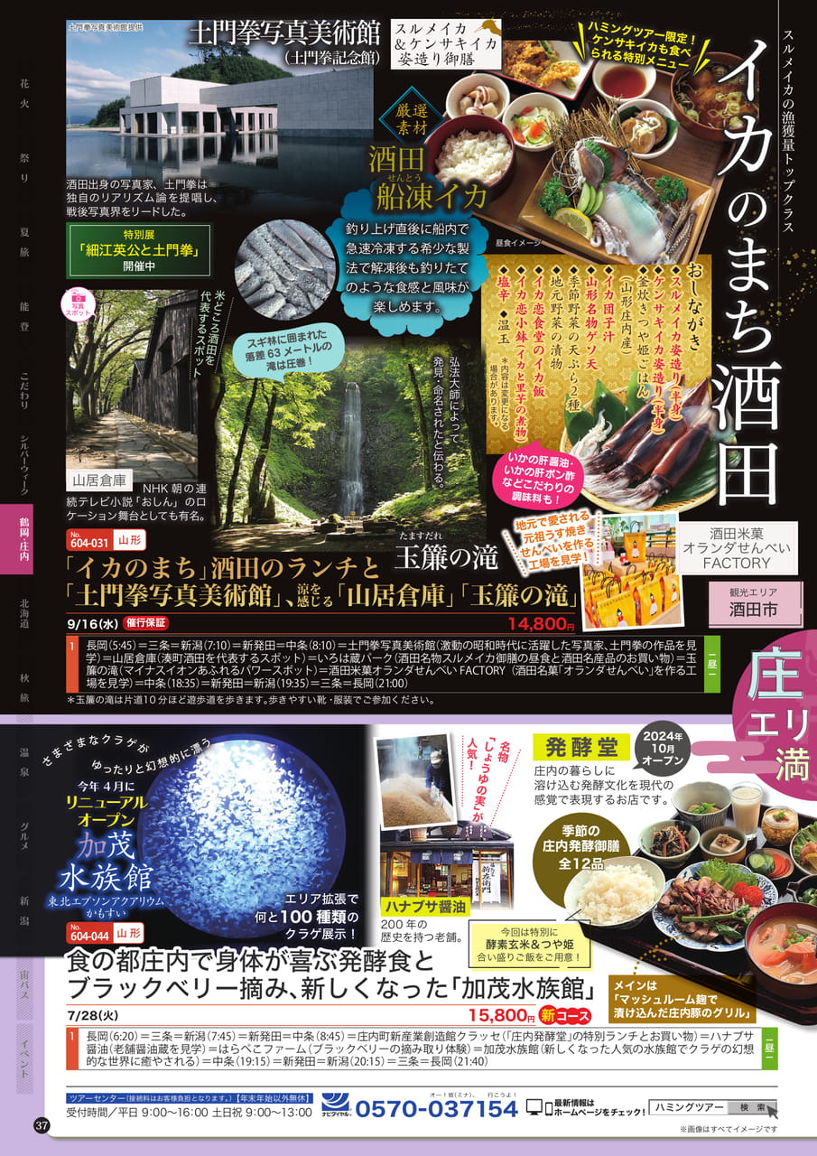 Page (追加)2