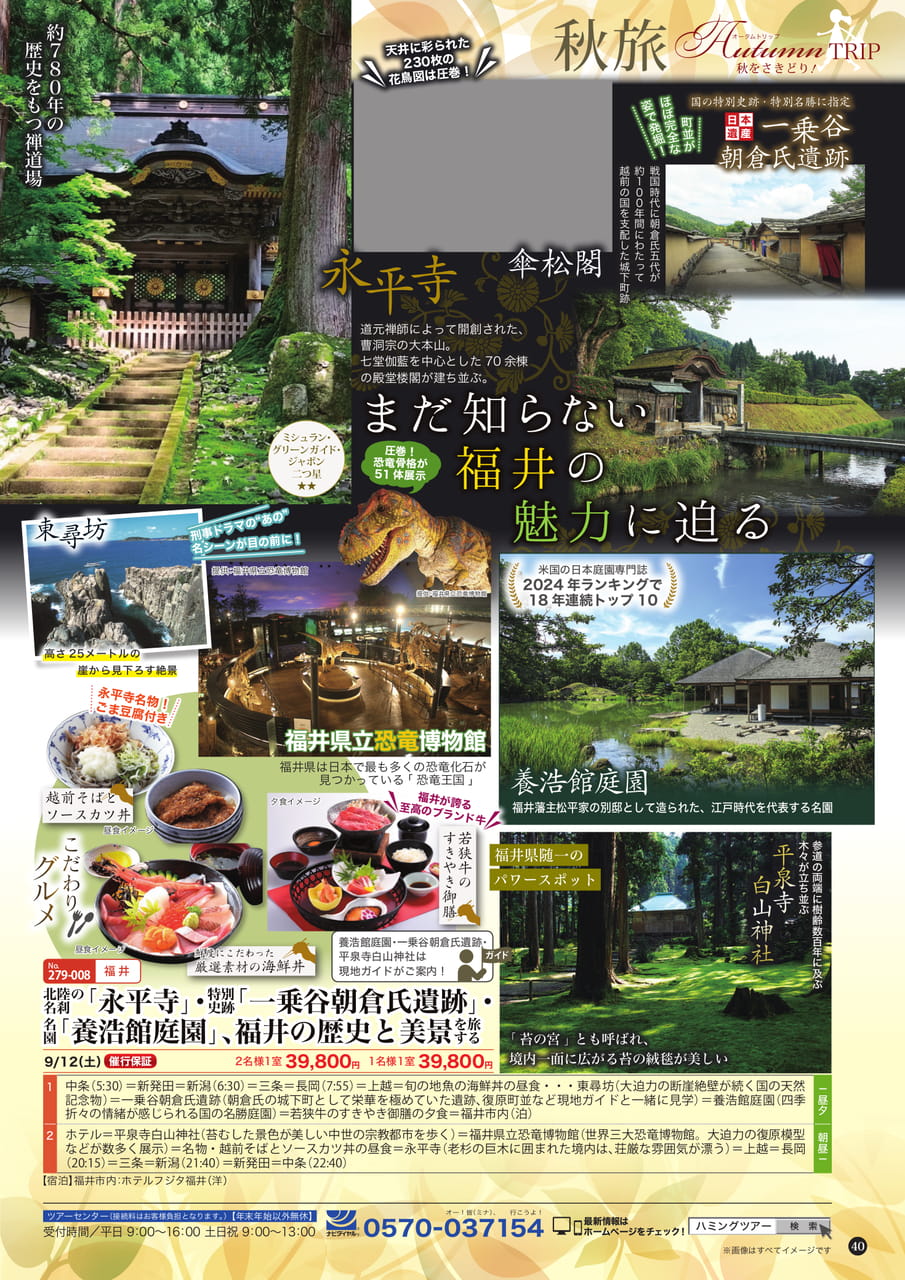 Page (追加)1