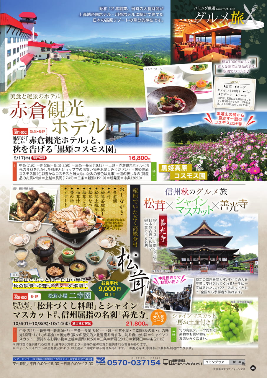 Page (追加)1