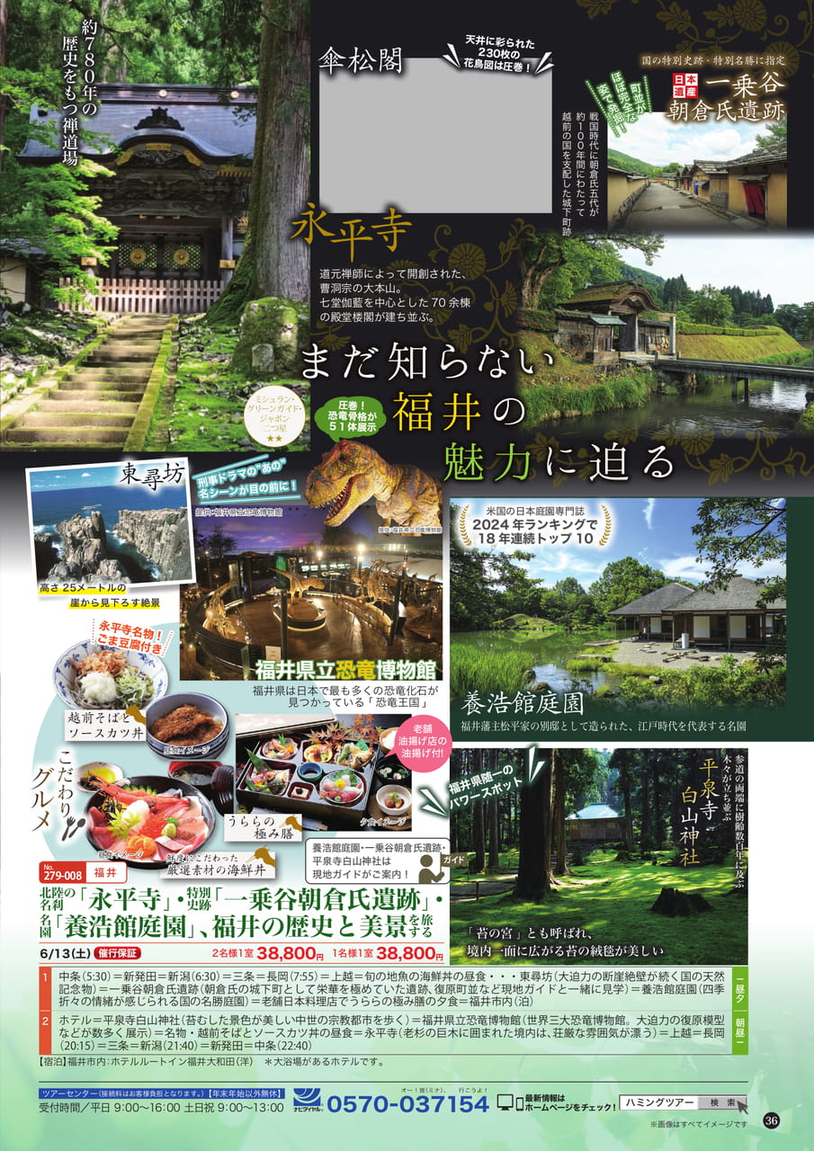 Page (追加)1