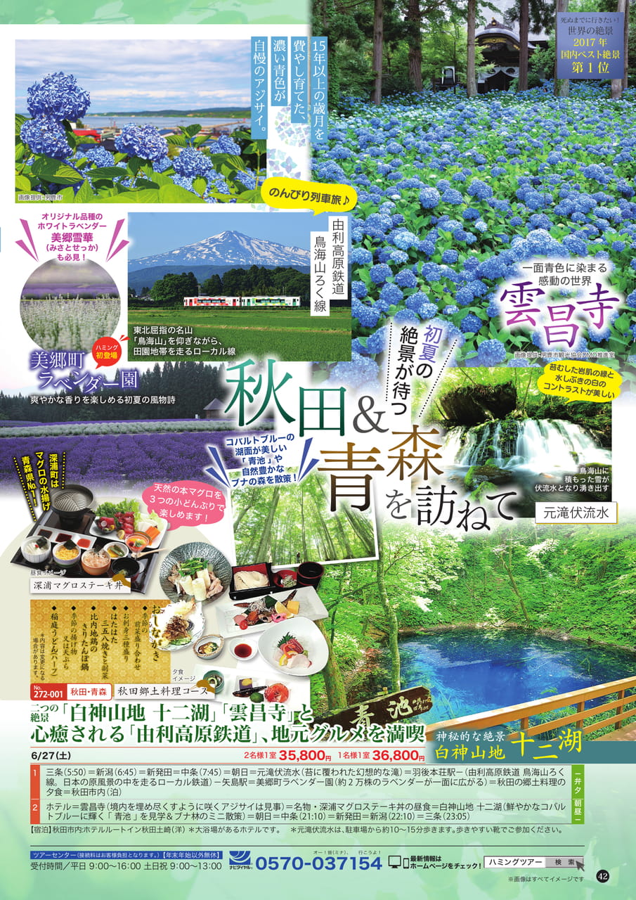 Page (追加)1