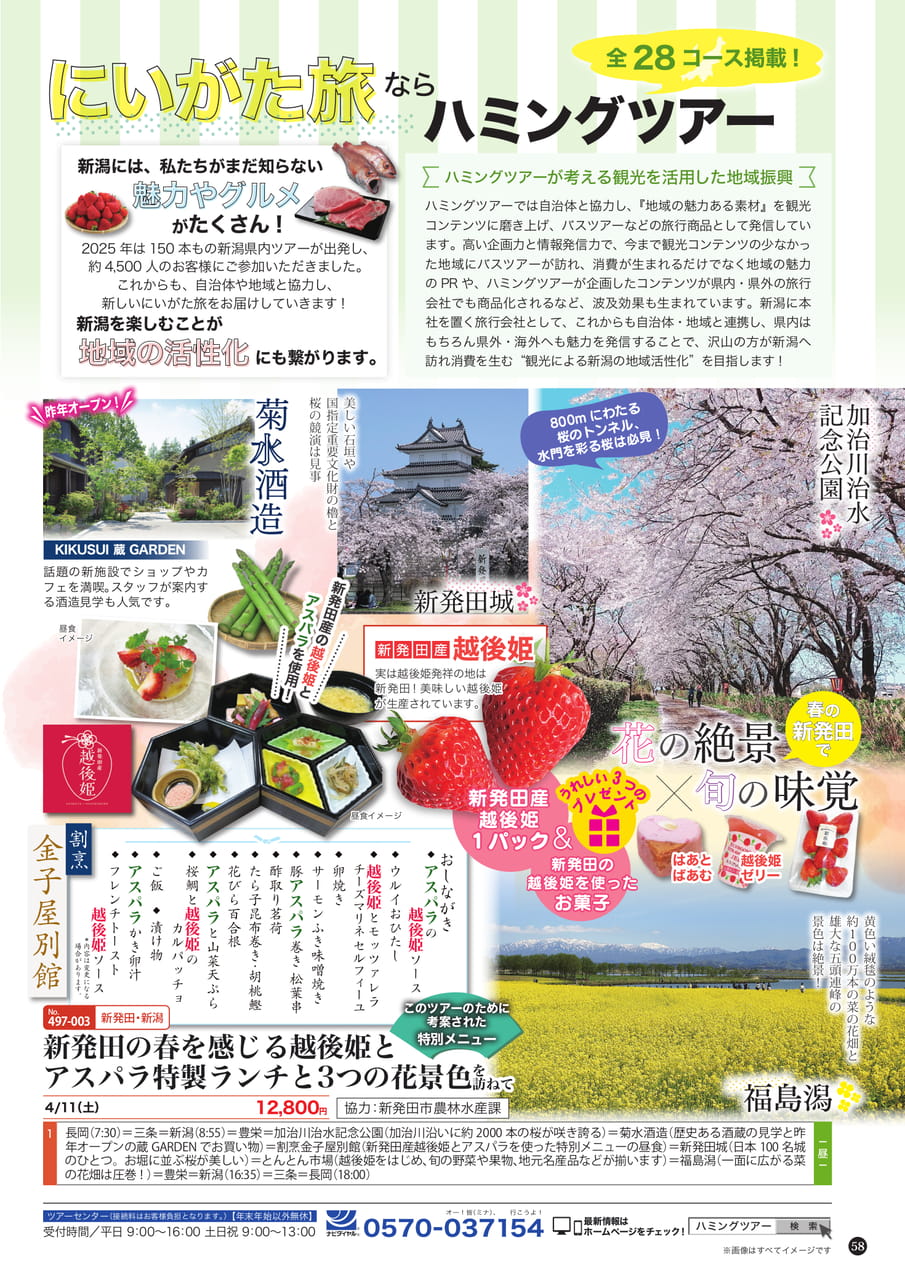 Page (追加)1