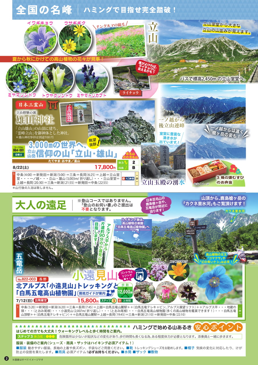 Page (追加)1