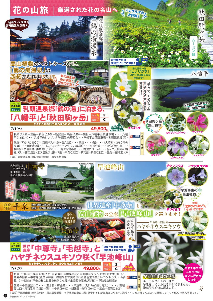 Page (追加)1