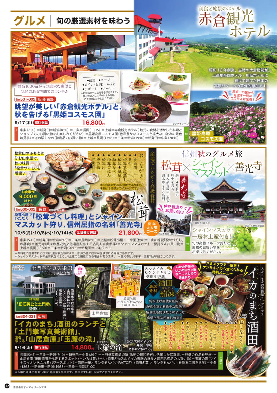 Page (追加)1