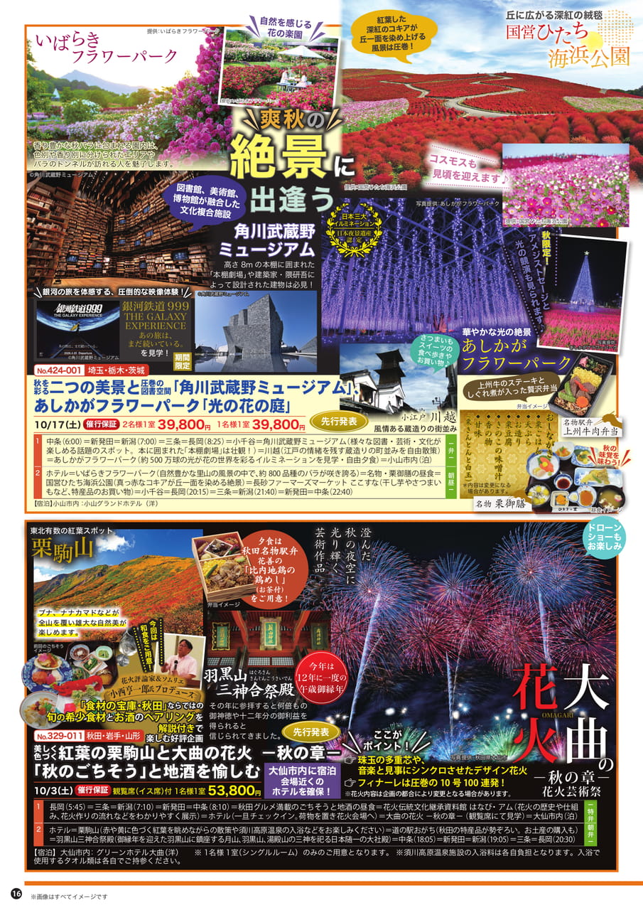 Page (追加)1
