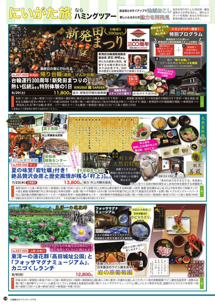 Page (追加)1