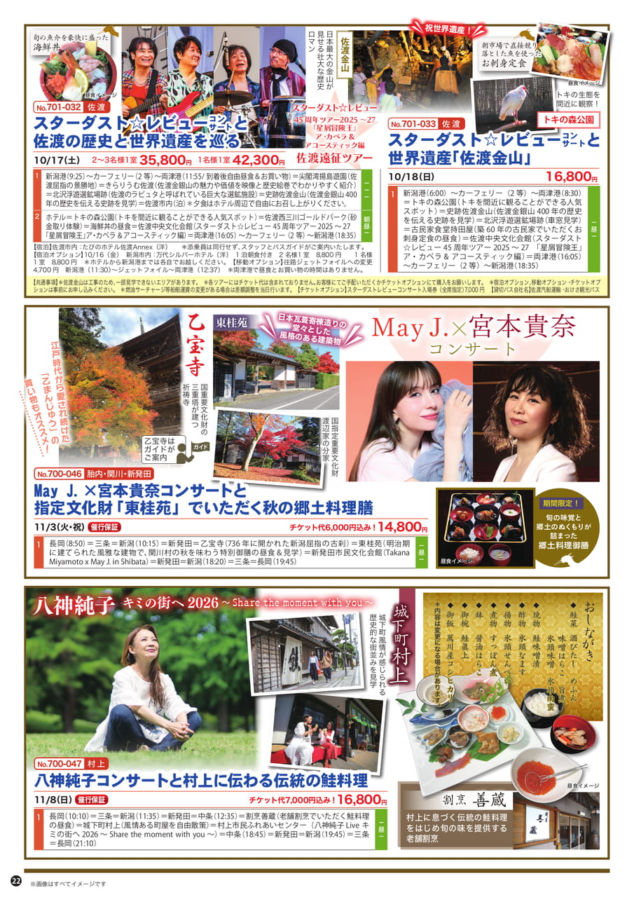 Page (追加)1