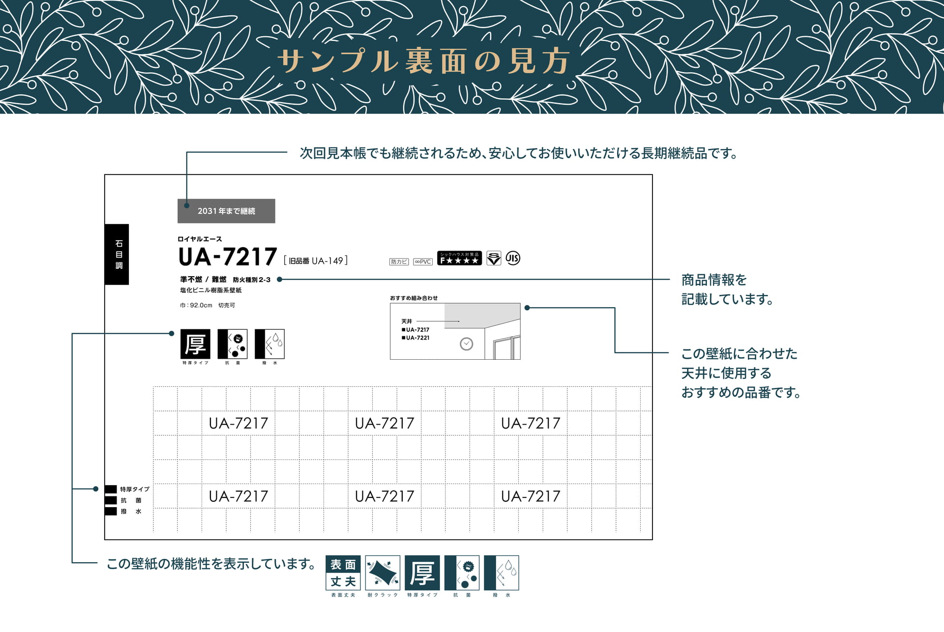 サンプル裏面の見方