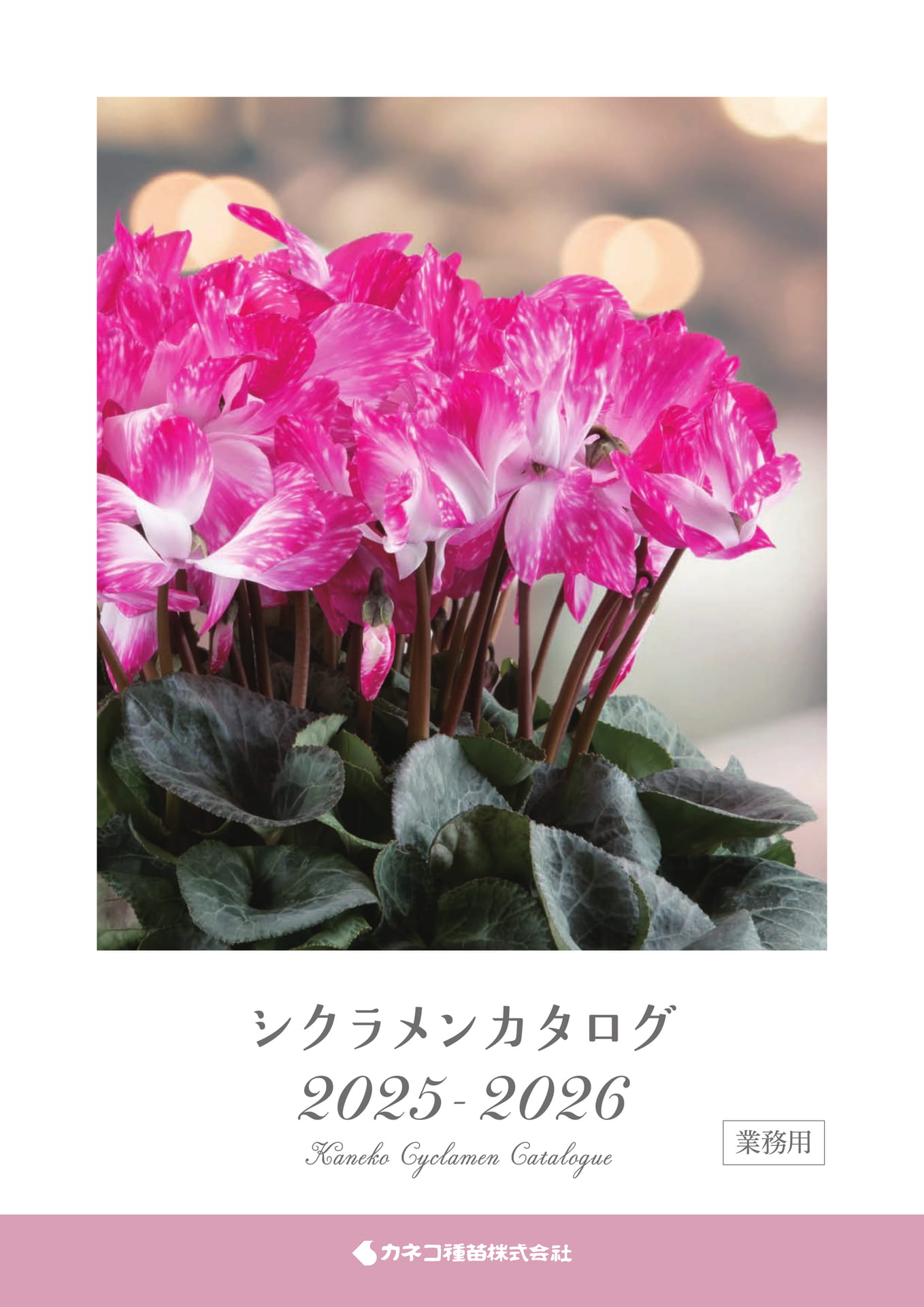 シクラメンカタログ2025-2026 | ebook5