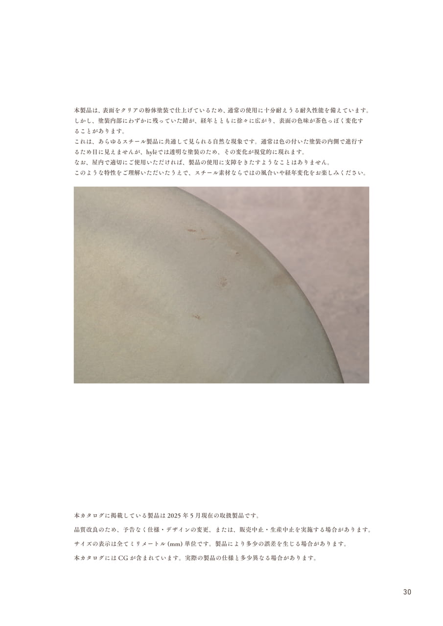 Page 31