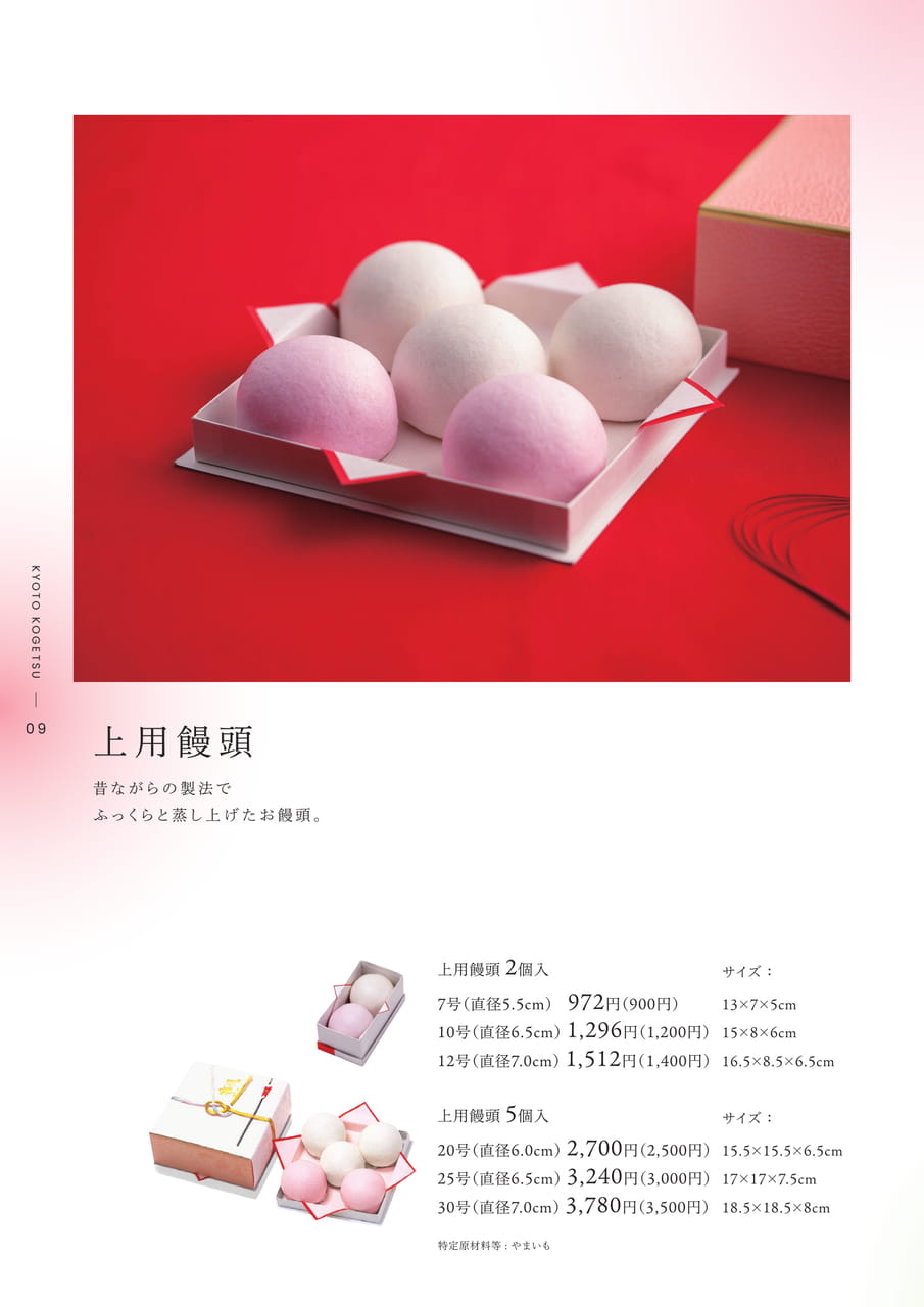 Page (追加)10