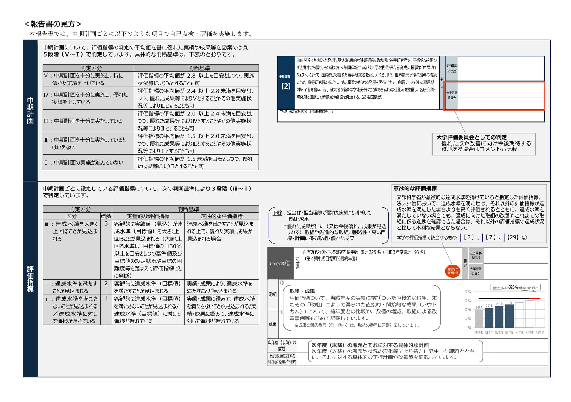 	報告書の見方