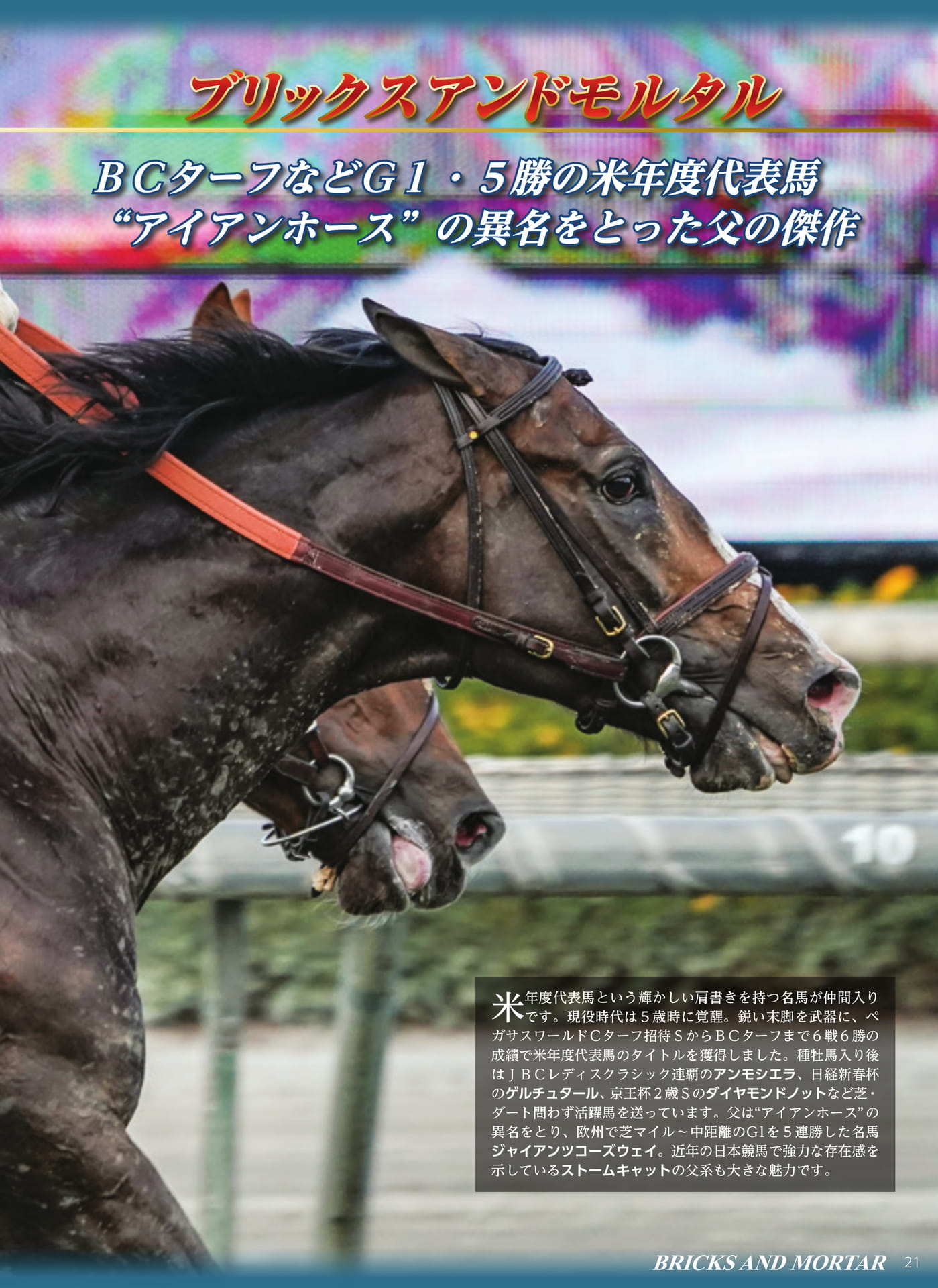 Page (追加)1