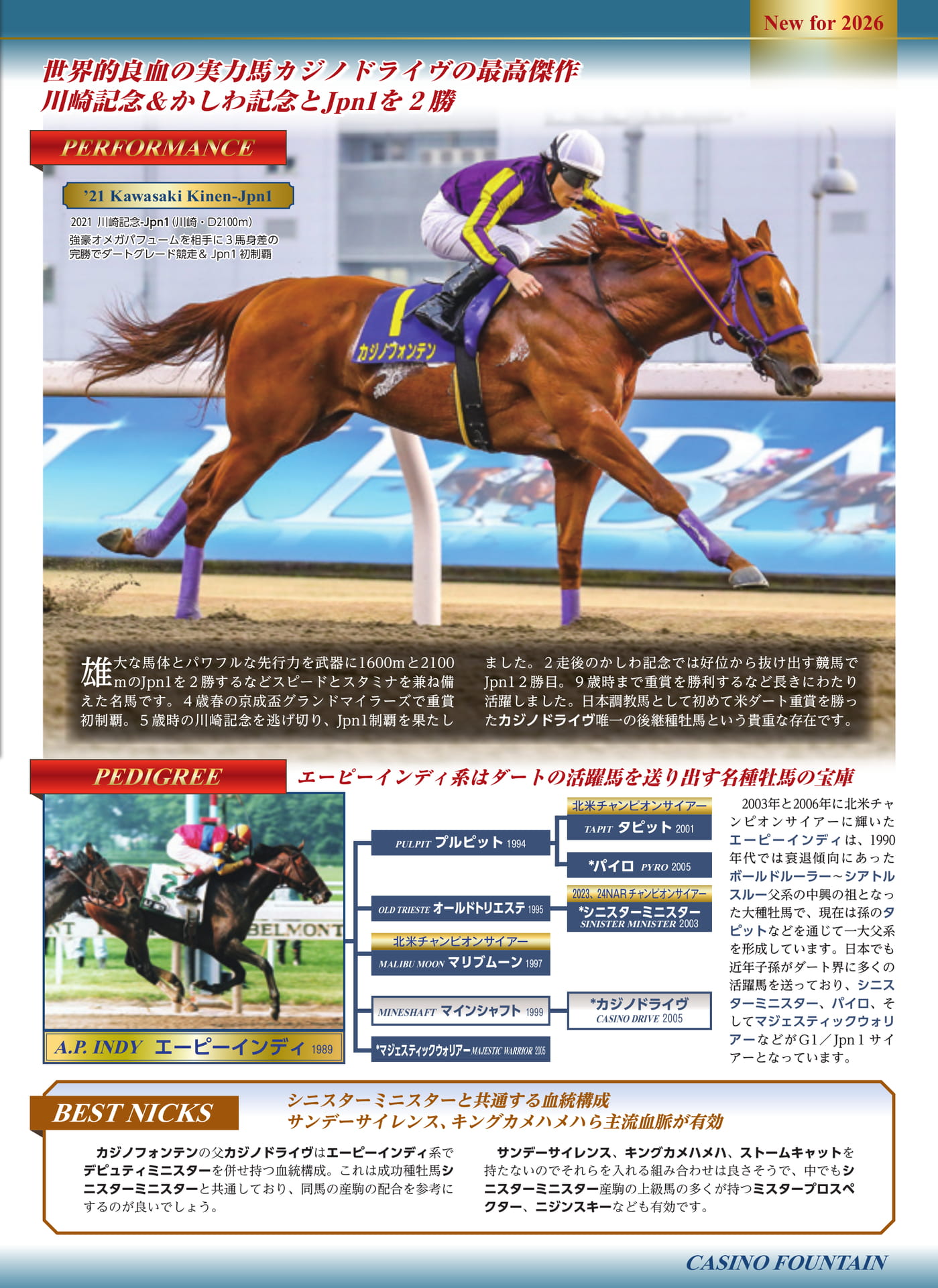 Page (追加)2