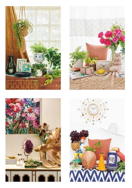 LIVING HOUSE. PALLETE