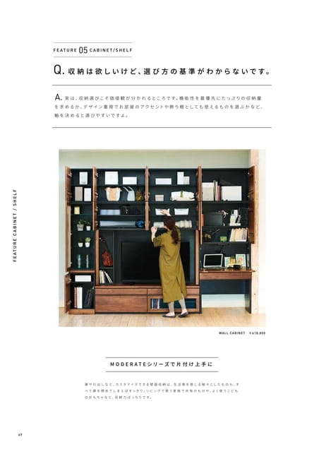 FEATURE CABINET / SHELF