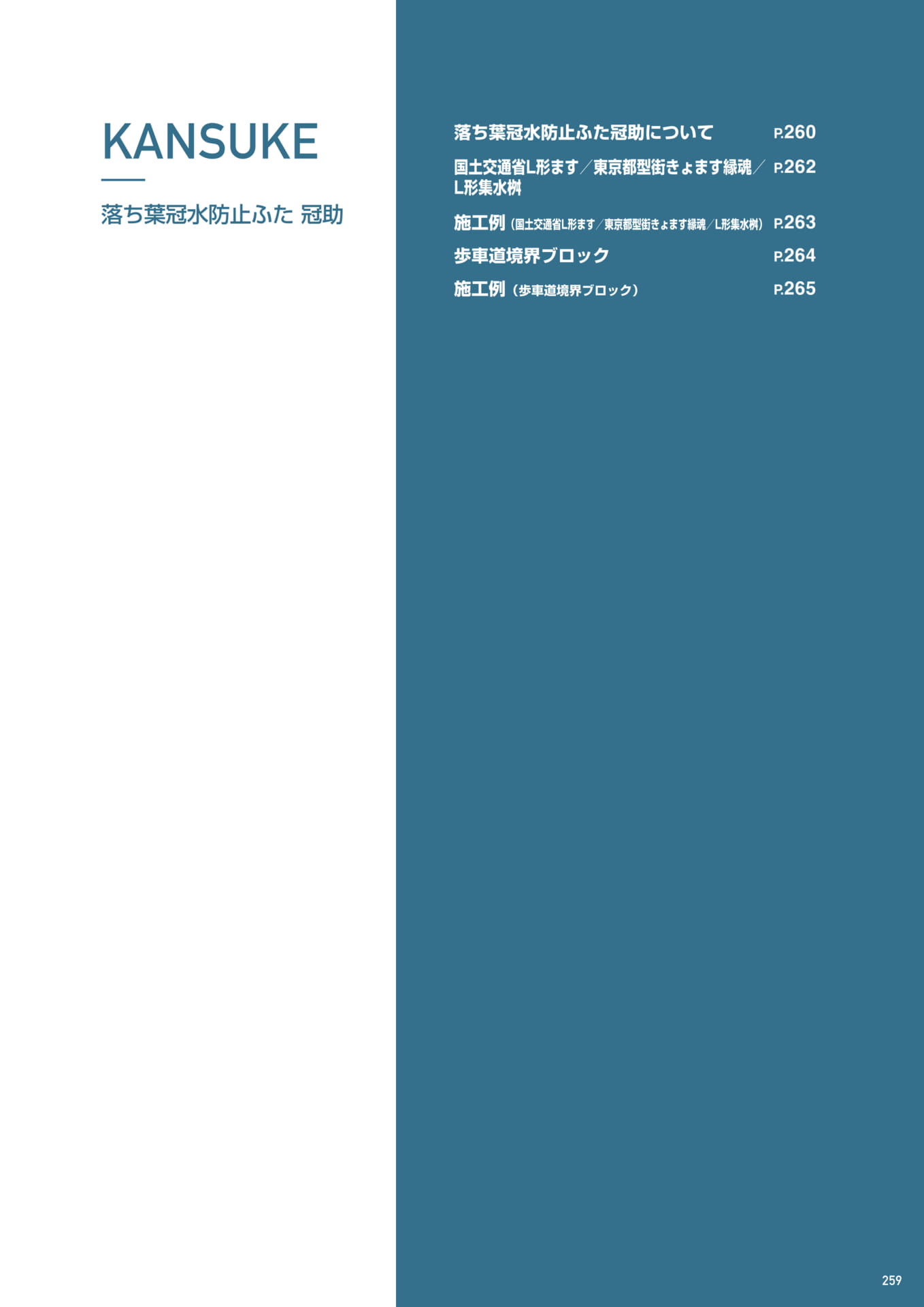 Page 261