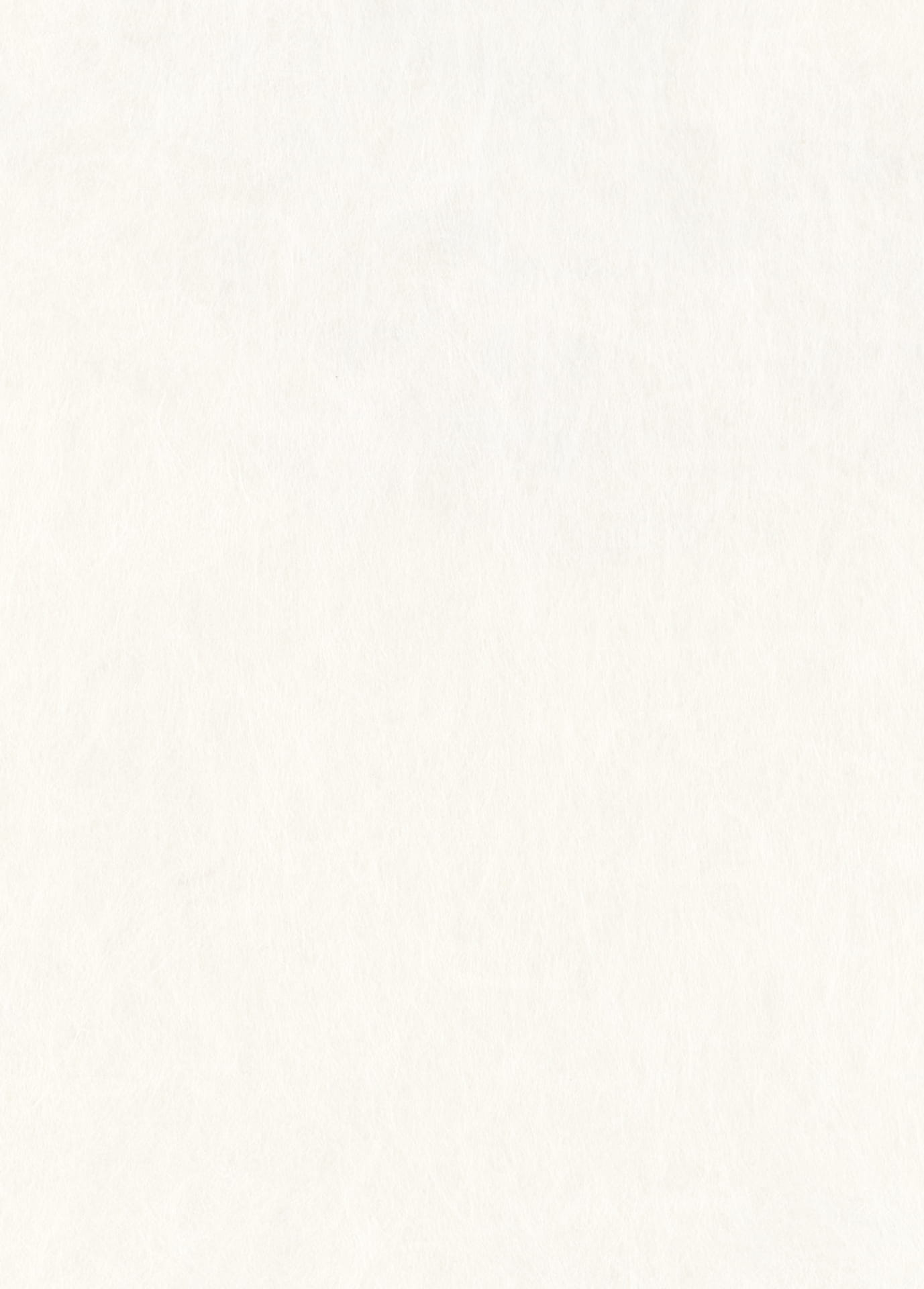 Page 02