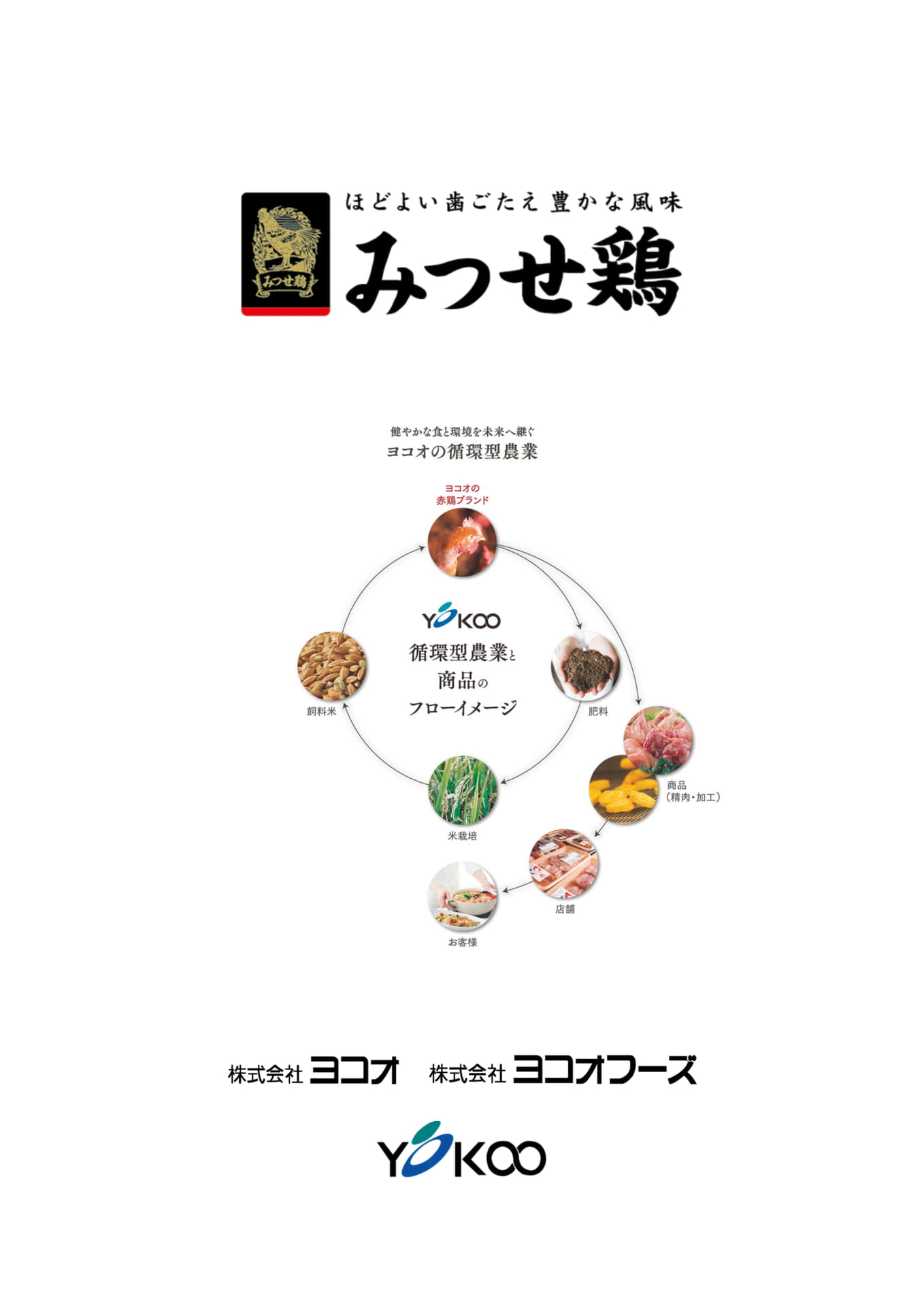 裏表紙