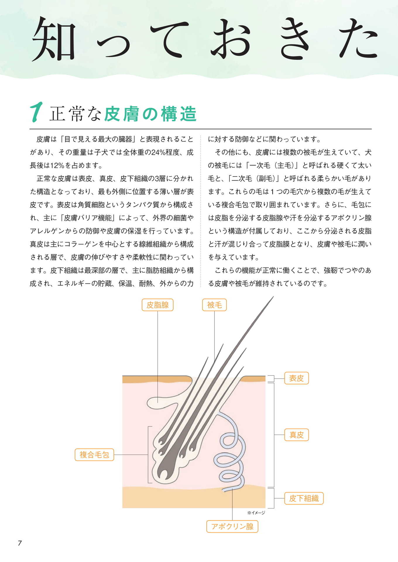 Page (追加)08