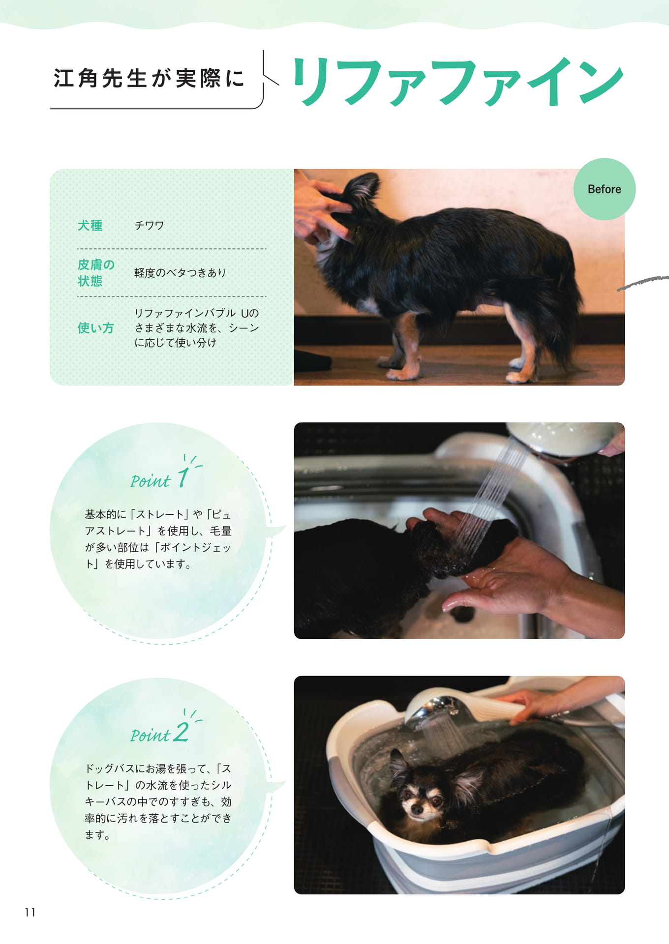 Page (追加)12