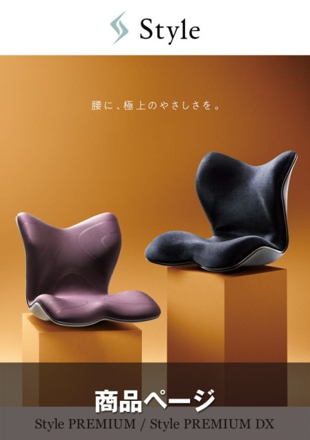 Style PREMIUM DX