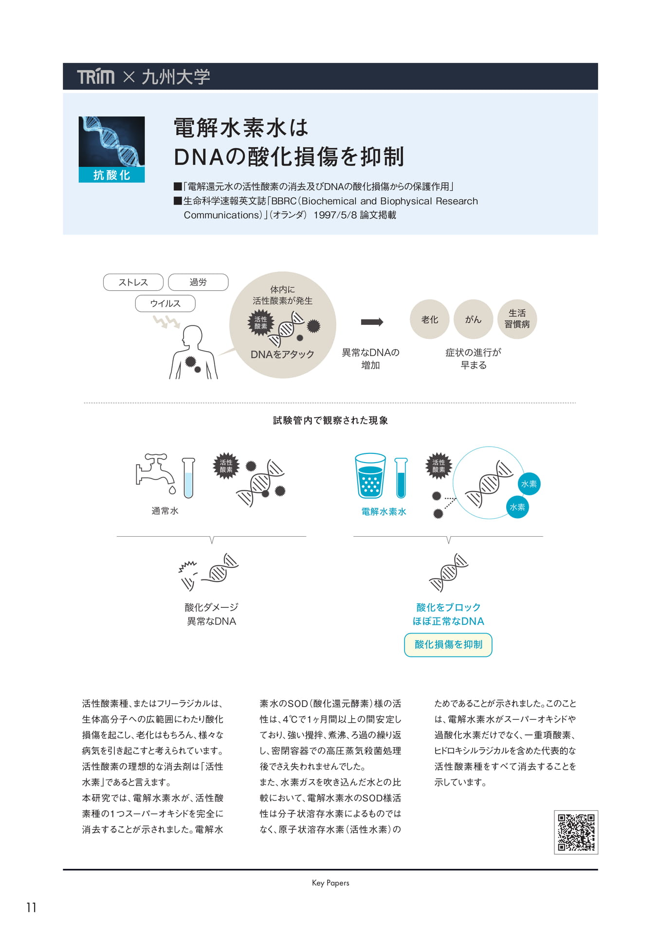 Page (追加)12